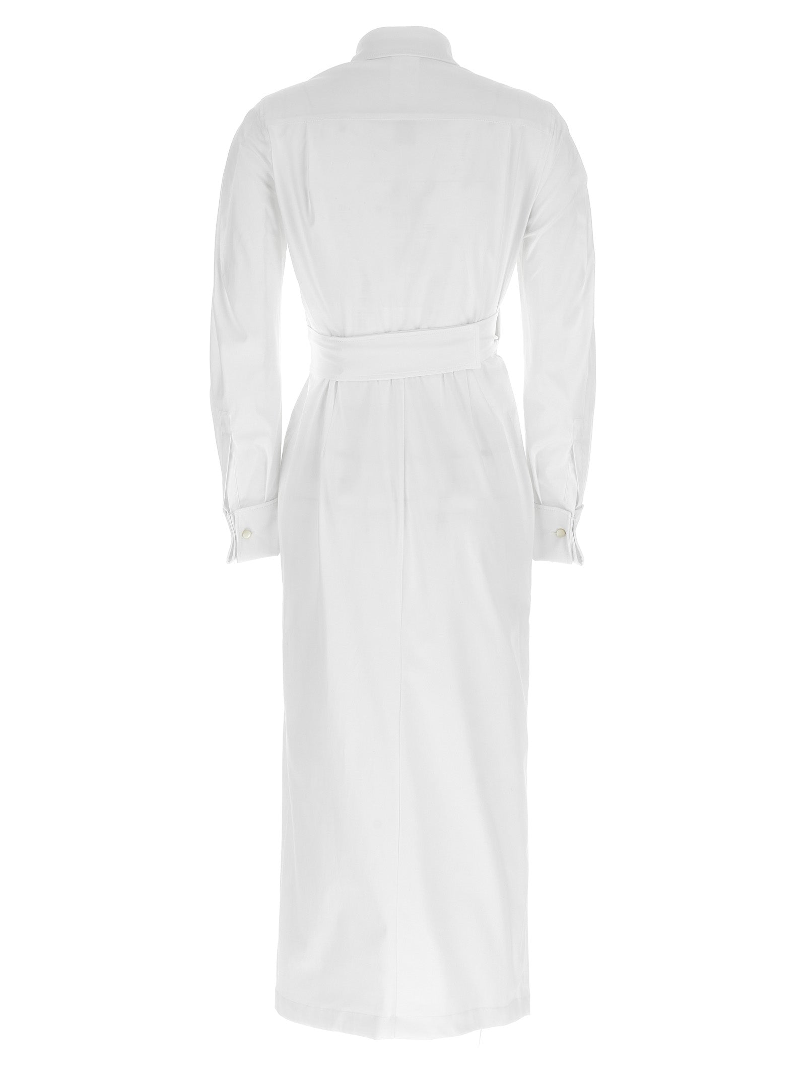 Max Mara 'Balzac' Dress