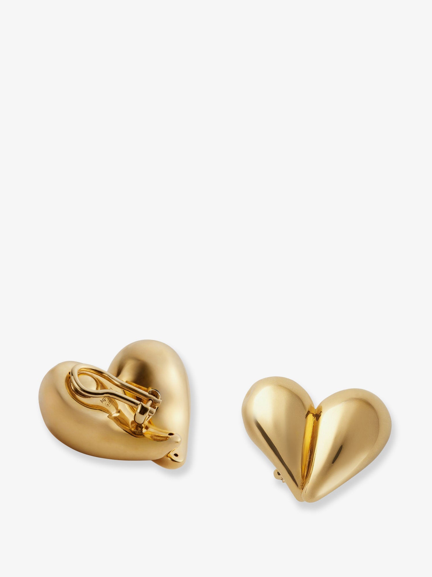 Bottega Veneta Silver Earrings