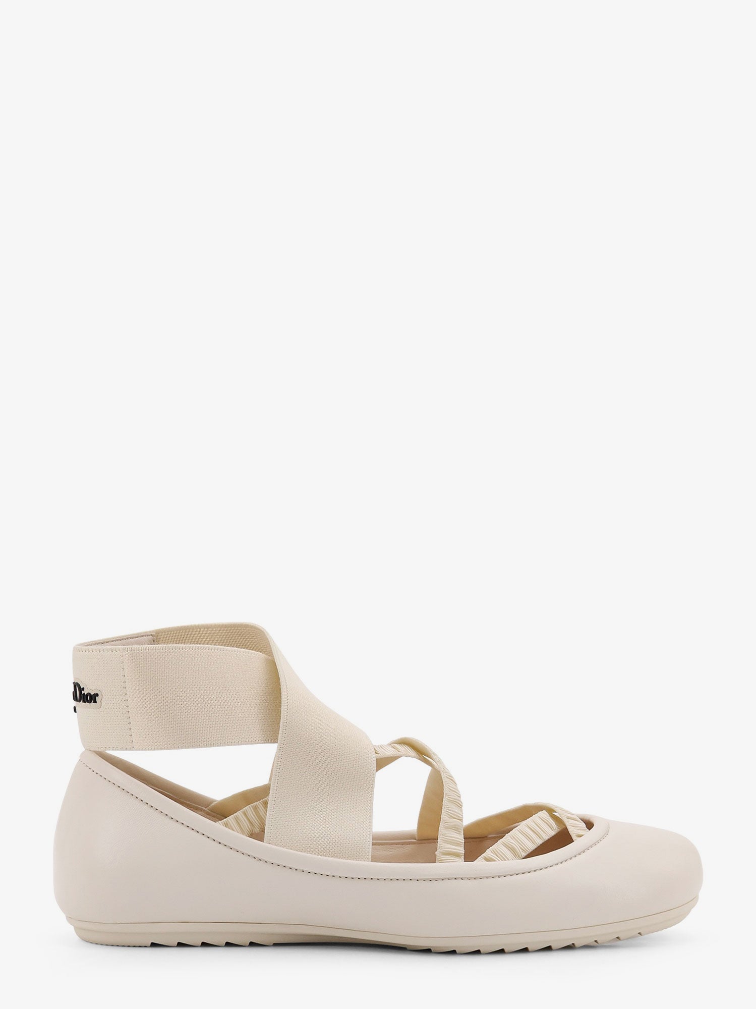 Dior Shade Leather Ballerinas With Elastic Bands