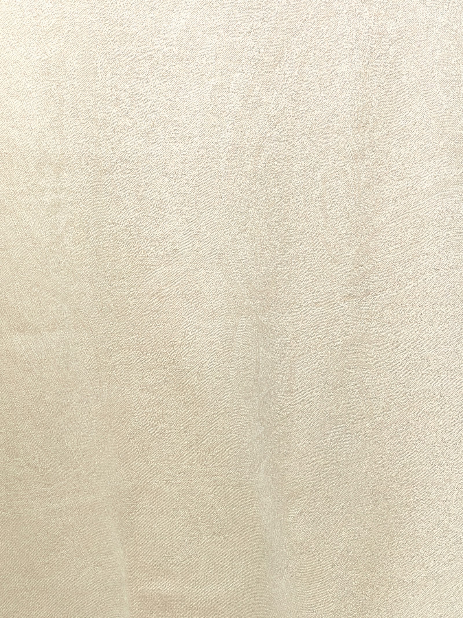 Max Mara 'Mxapalmeti' Stole