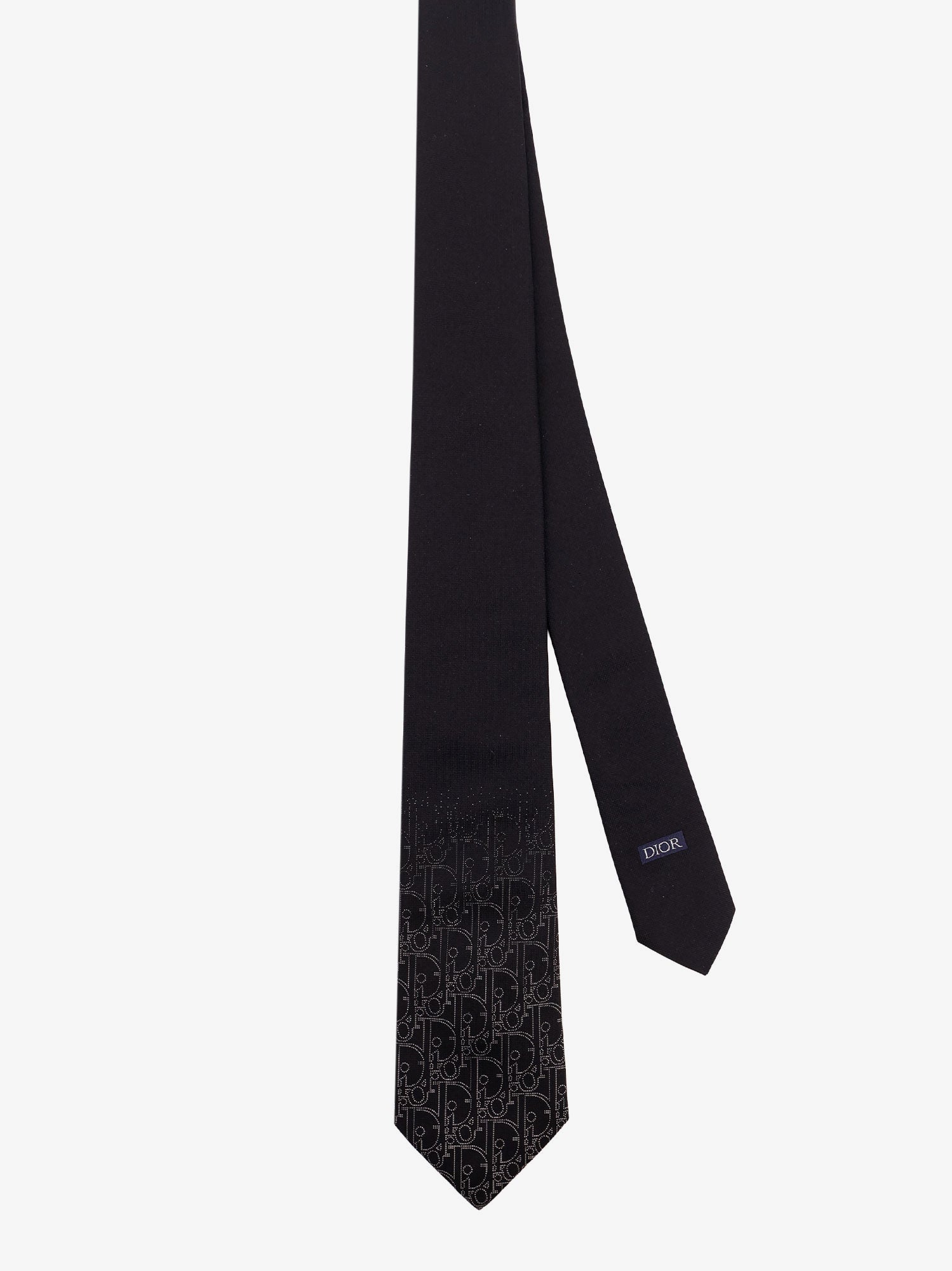 Dior Silk Tie
