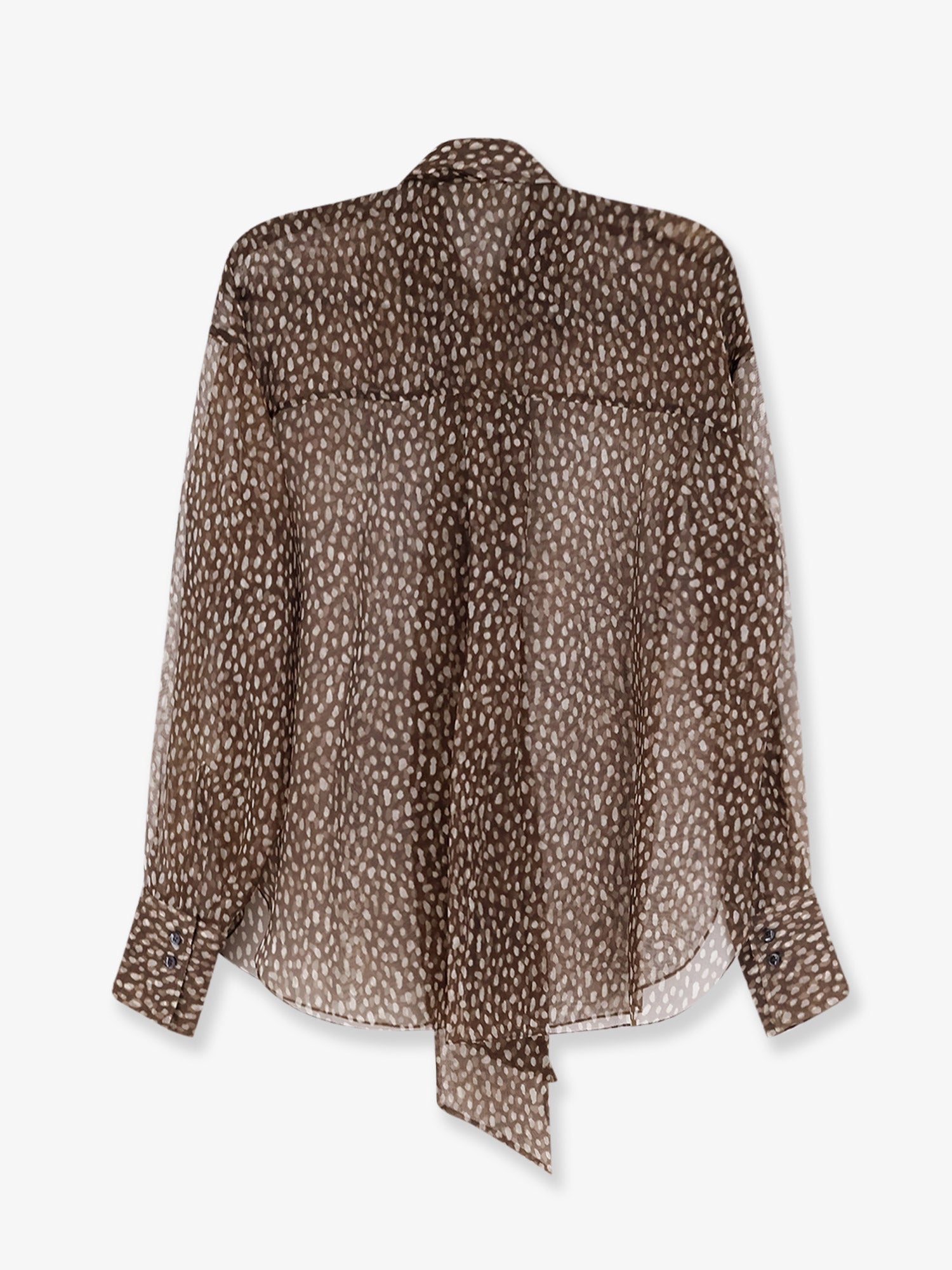 Brunello Cucinelli Sheer Silk Shirt