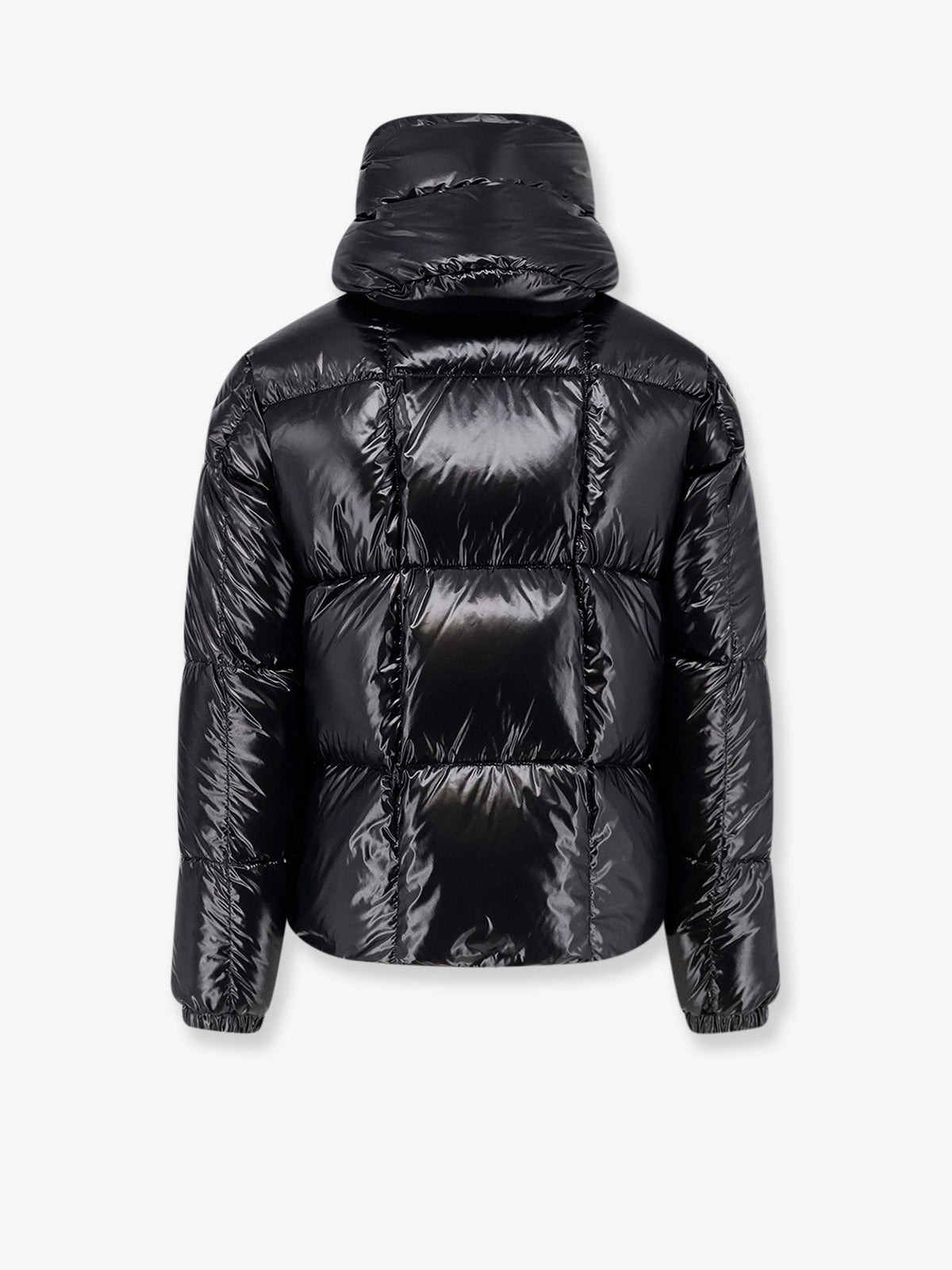 Moncler Parana Shiny Material Down Jacket With Contrasting Lining