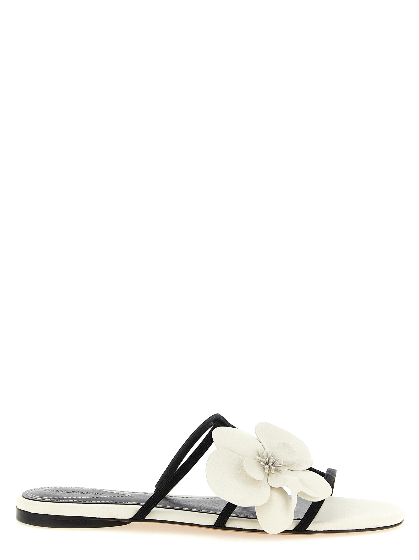 Zimmermann 'Orchid' Slides