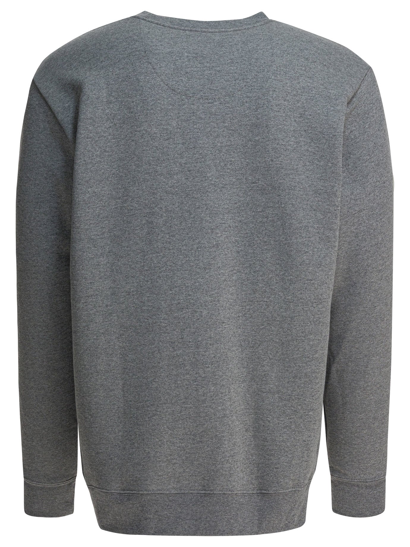 Patagonia Fitz Roy Icon Uprisal Crewneck Sweatshirt