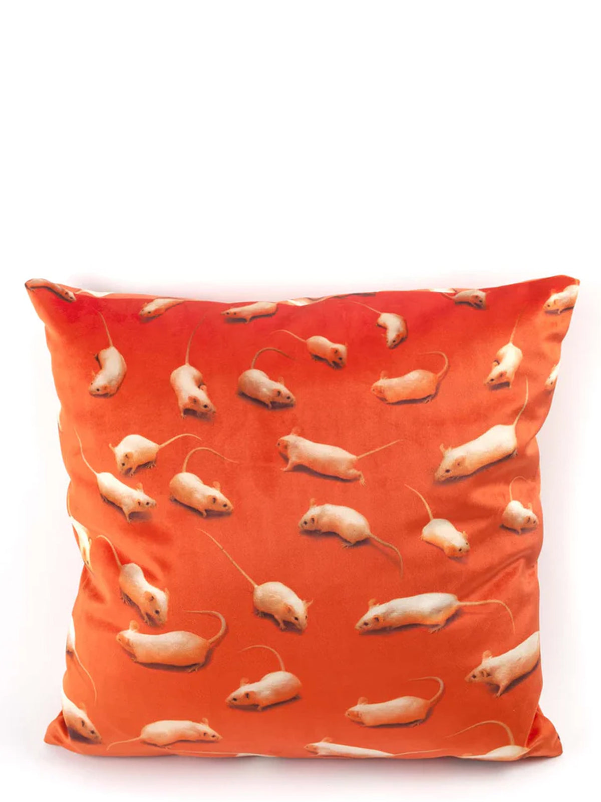 Seletti Seletti X Toiletpaper 'Gattino' Cushion