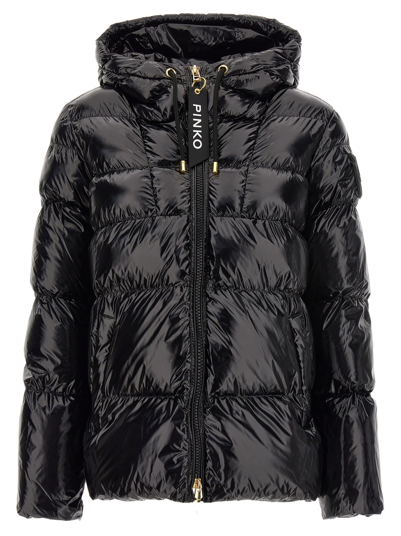 Pinko 'Eleodoro' Down Jacket