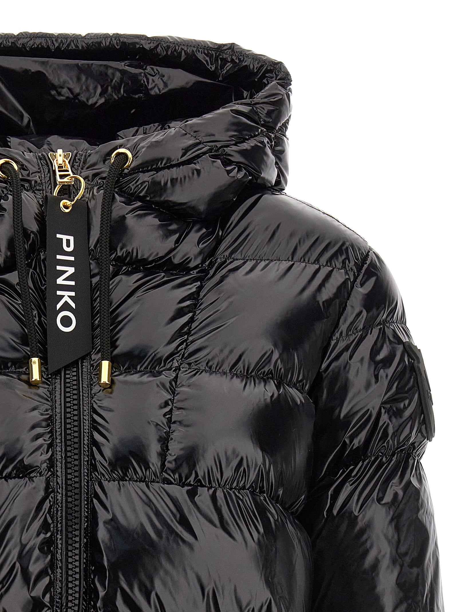 Pinko 'Eleodoro' Down Jacket