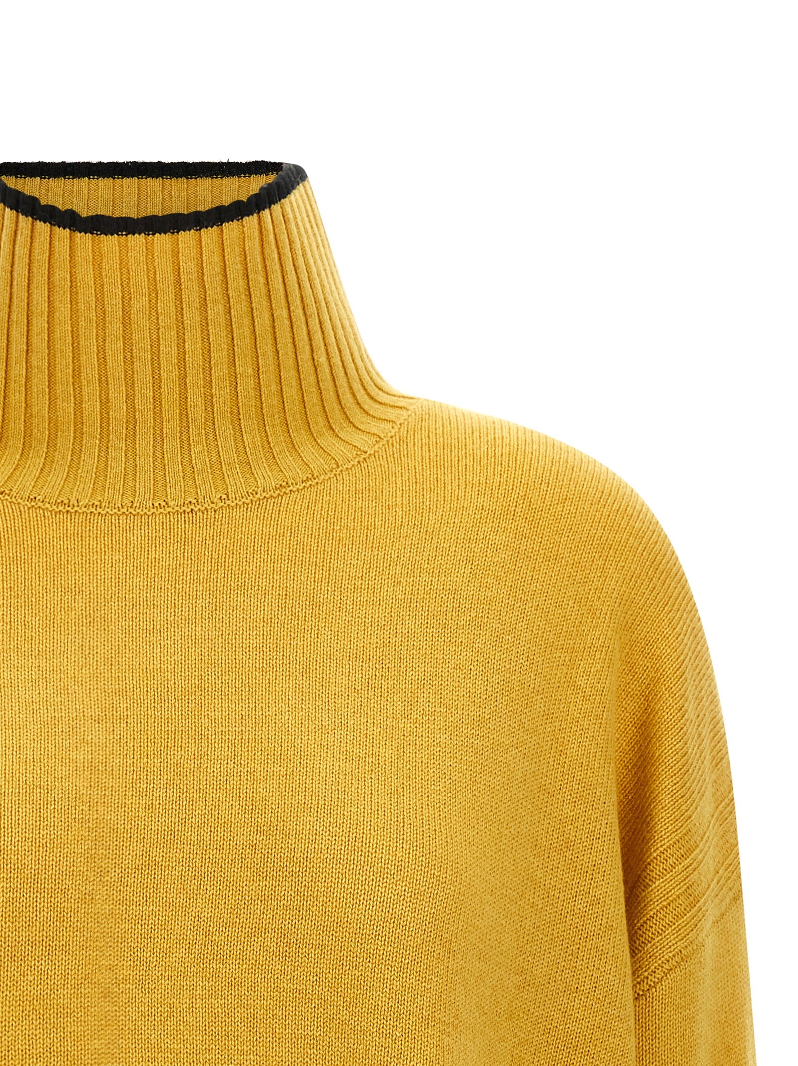 Pinko Turtle-Neck Sweater