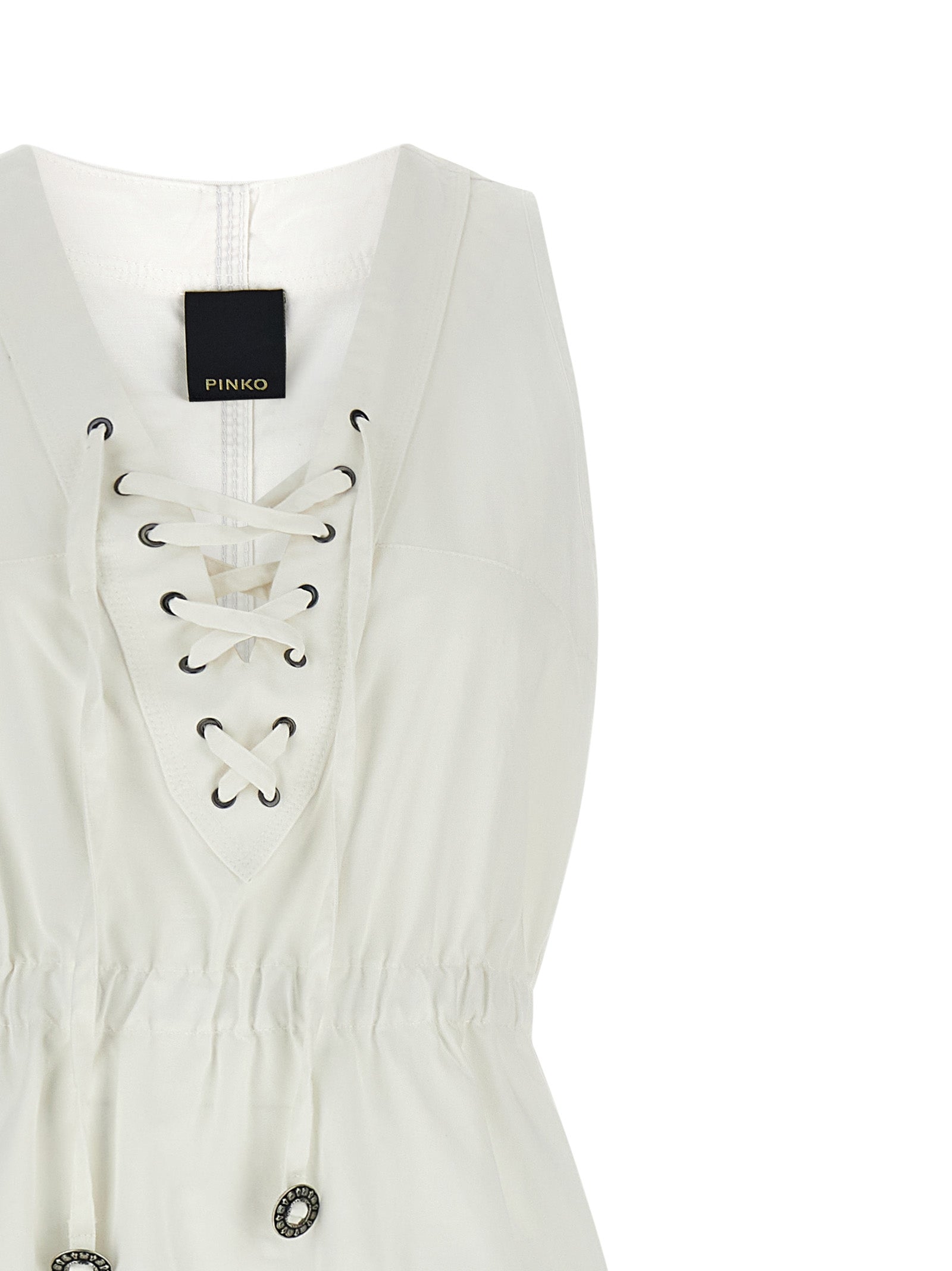 Pinko 'Casarsa' Dress