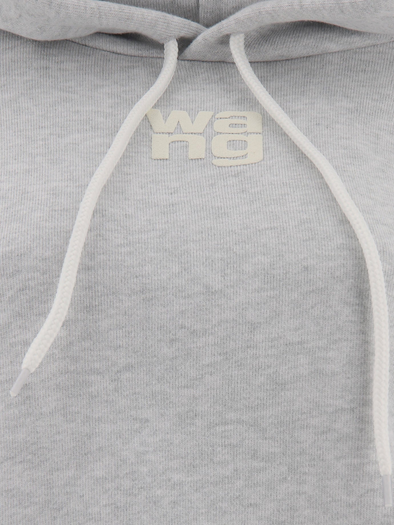 Alexander Wang Puff Logo Hoodie In Structured Terry