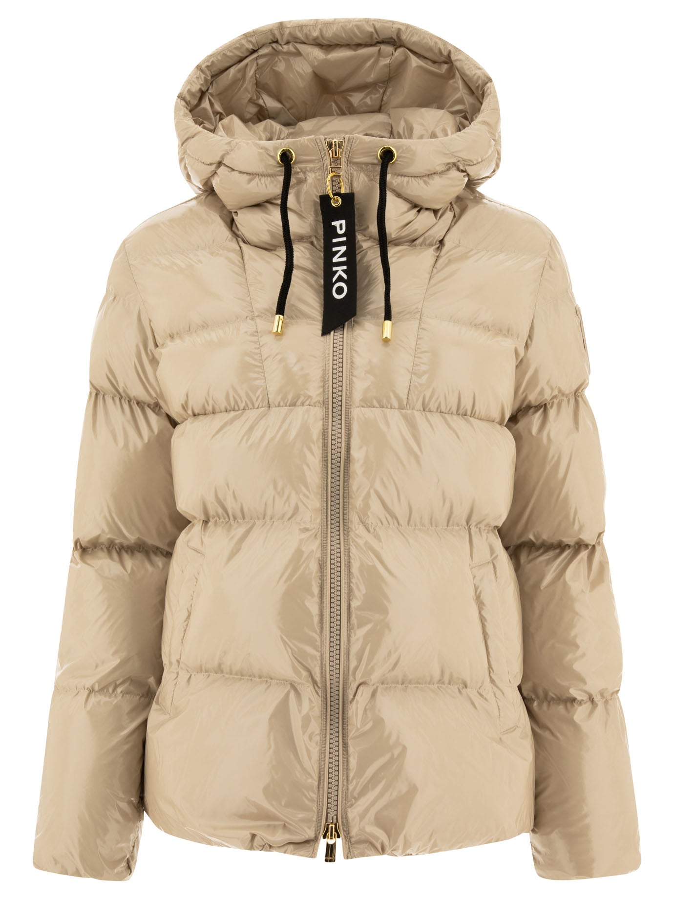 Pinko Eleodoro Down Jacket