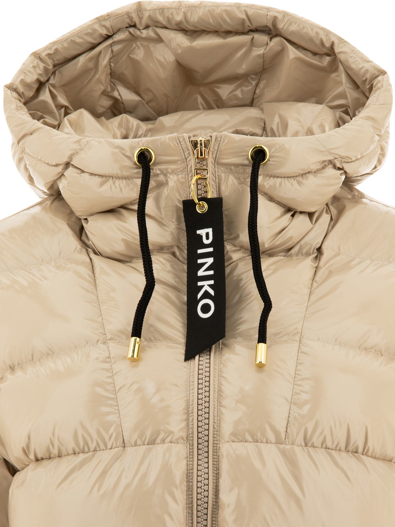 Pinko Eleodoro Down Jacket