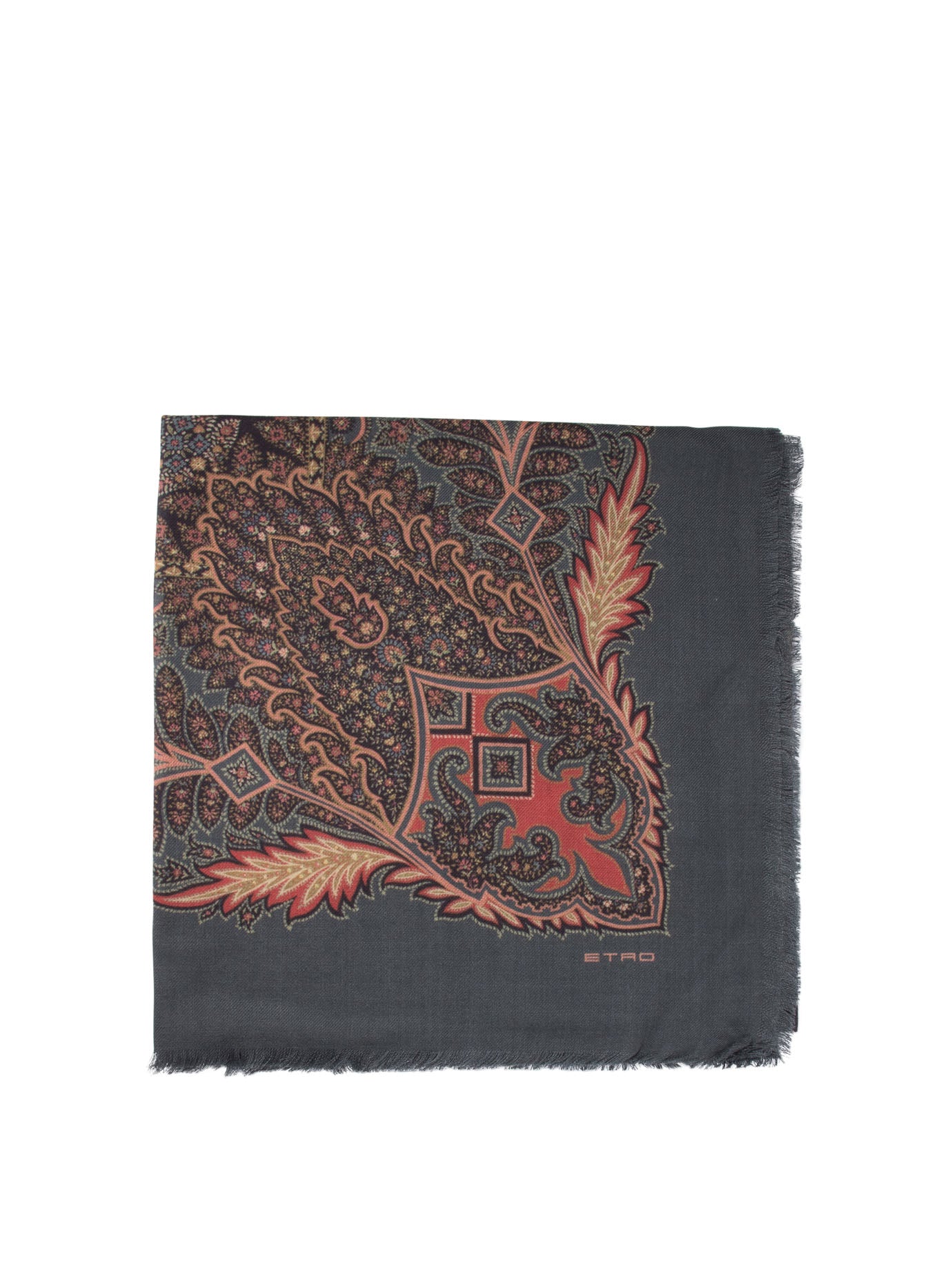 Etro Printed Cashmere Shawl