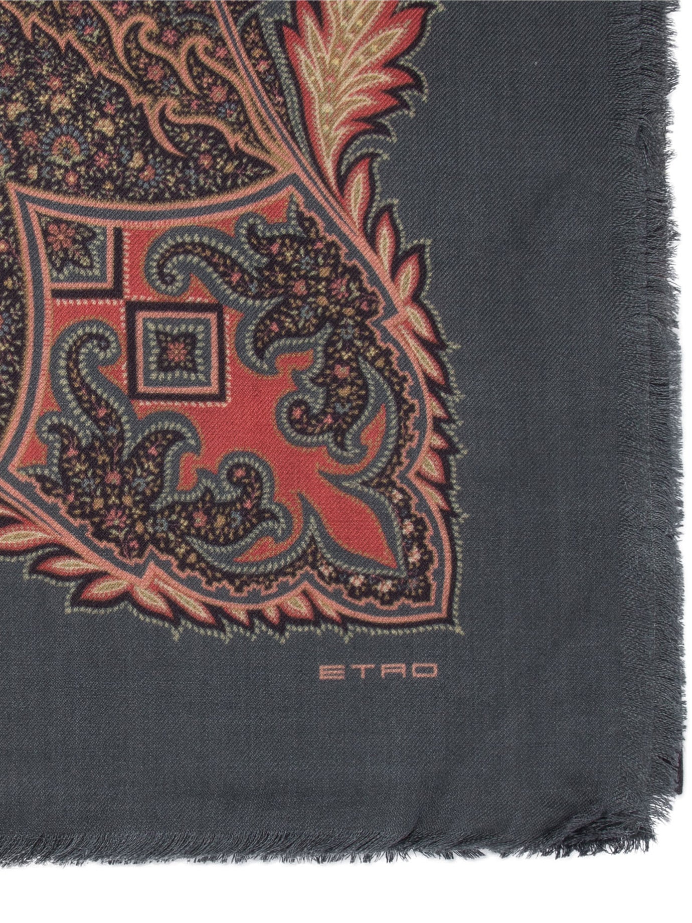 Etro Printed Cashmere Shawl