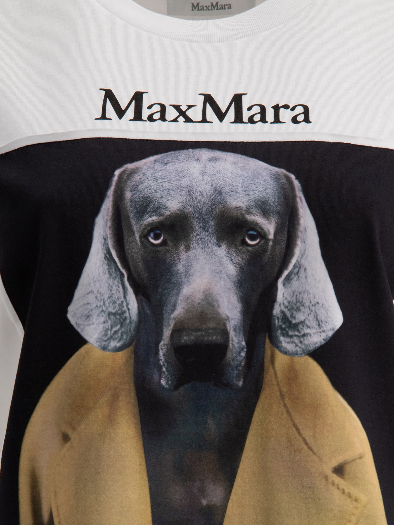 Max Mara Printed Jersey T-Shirt