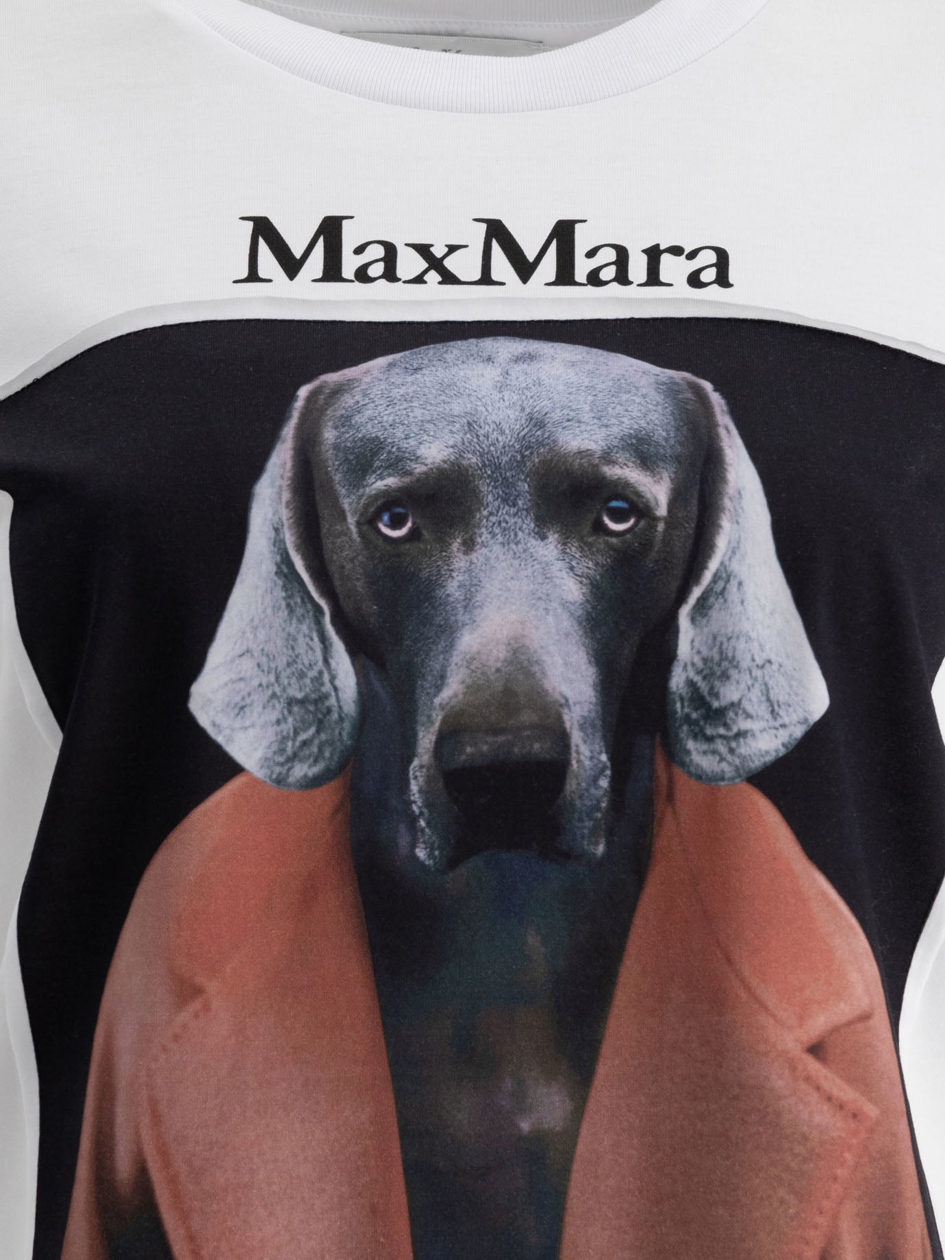 Max Mara Printed Jersey T-Shirt