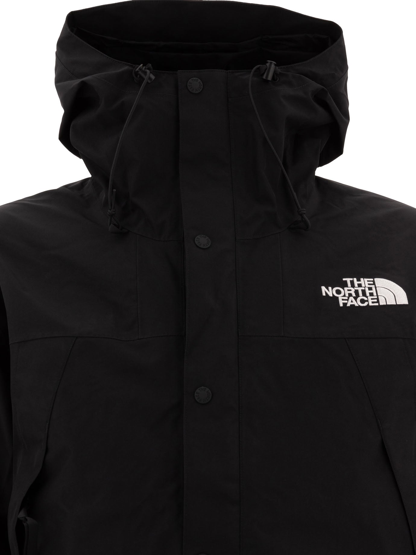 The North Face Gore-Tex Mountain Jacket