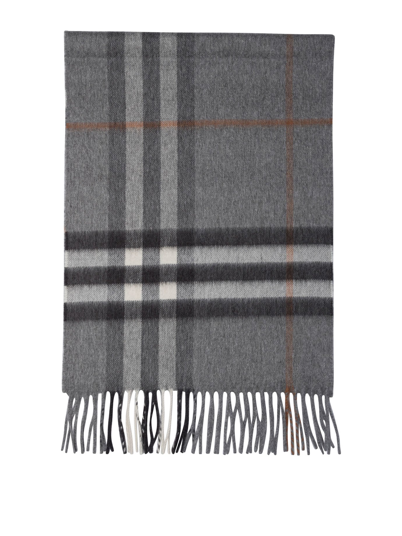 Burberry Scarves