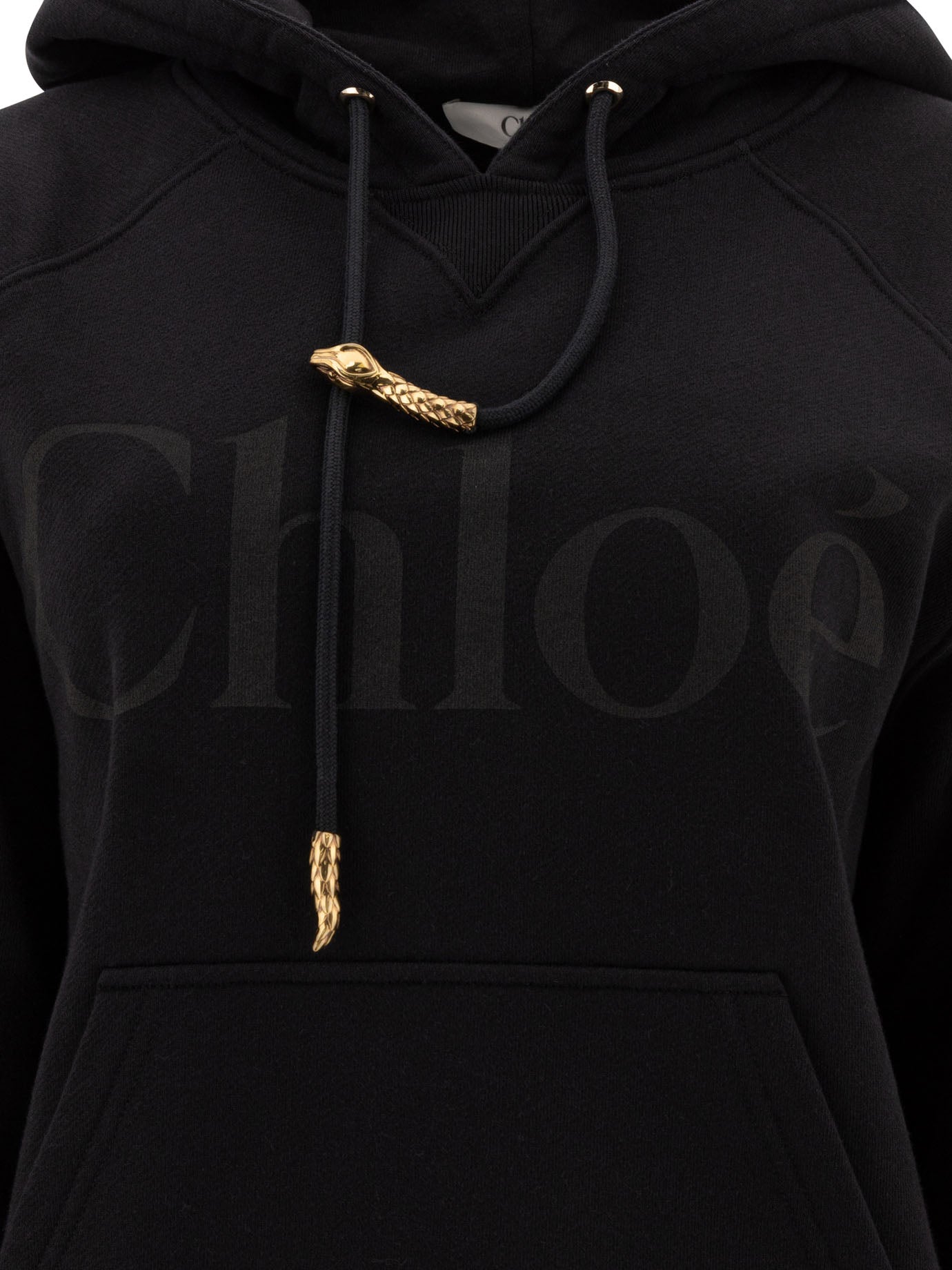 Chloé Sweatshirts