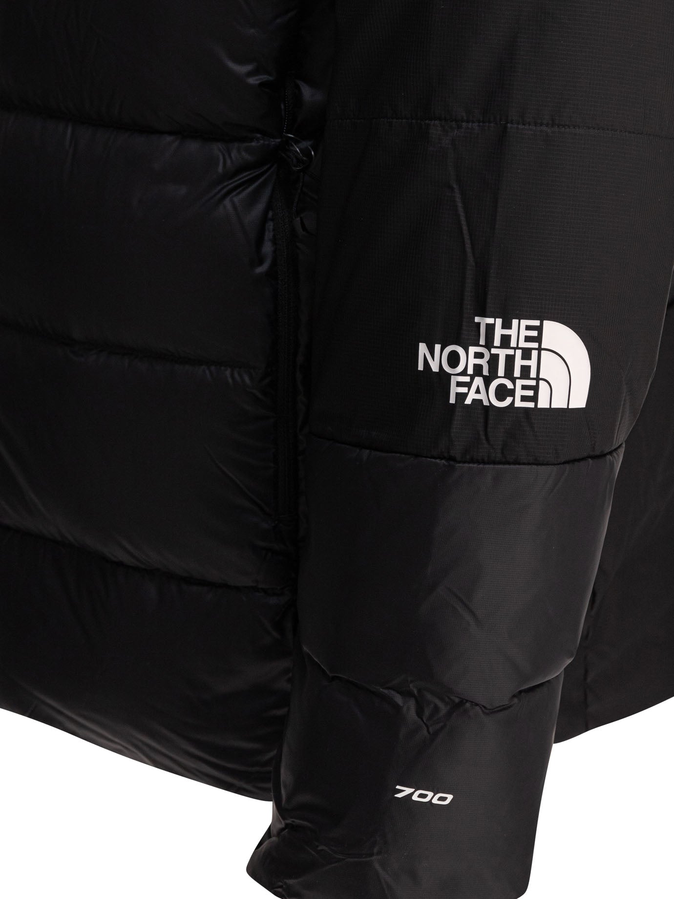 The North Face Jackets