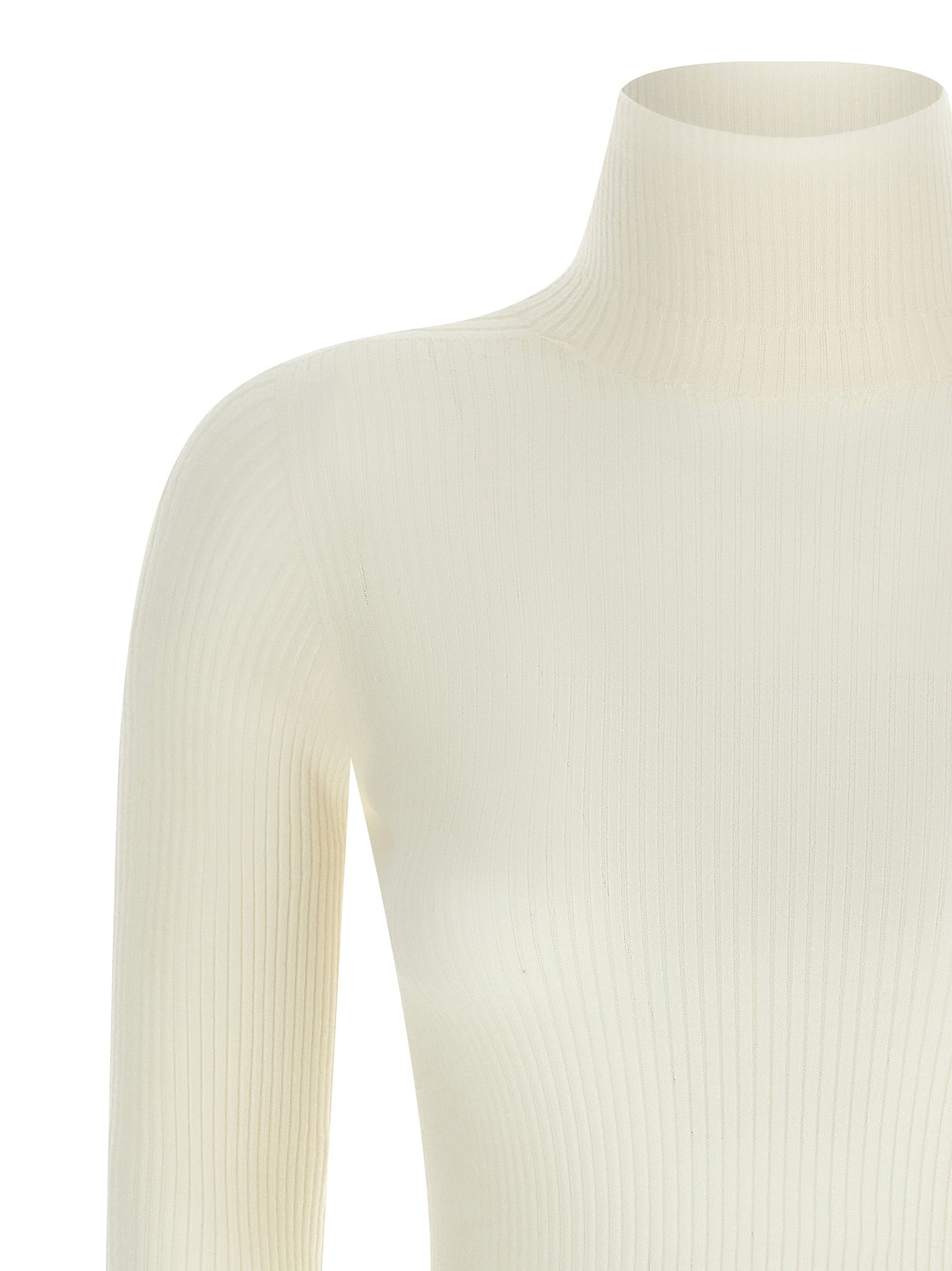 Sportmax 'Niagara' Turtleneck Sweater