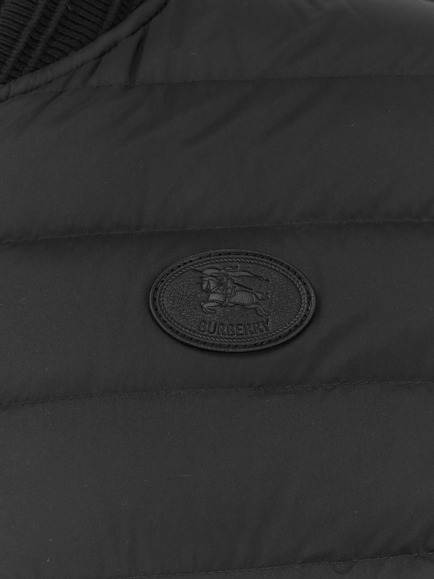 Burberry Dalham Down Jacket With Ekd Patch