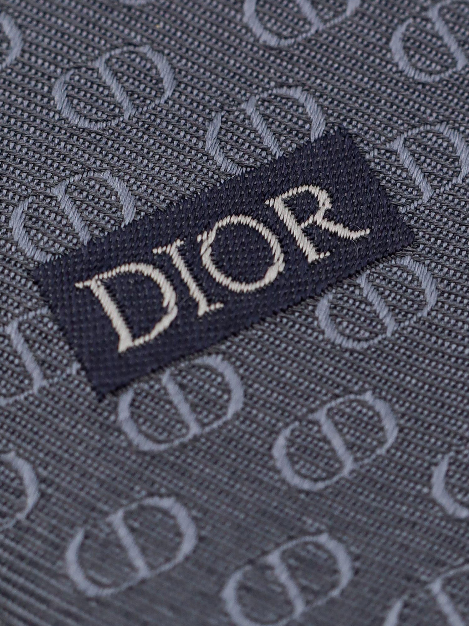 Dior Silk Tie