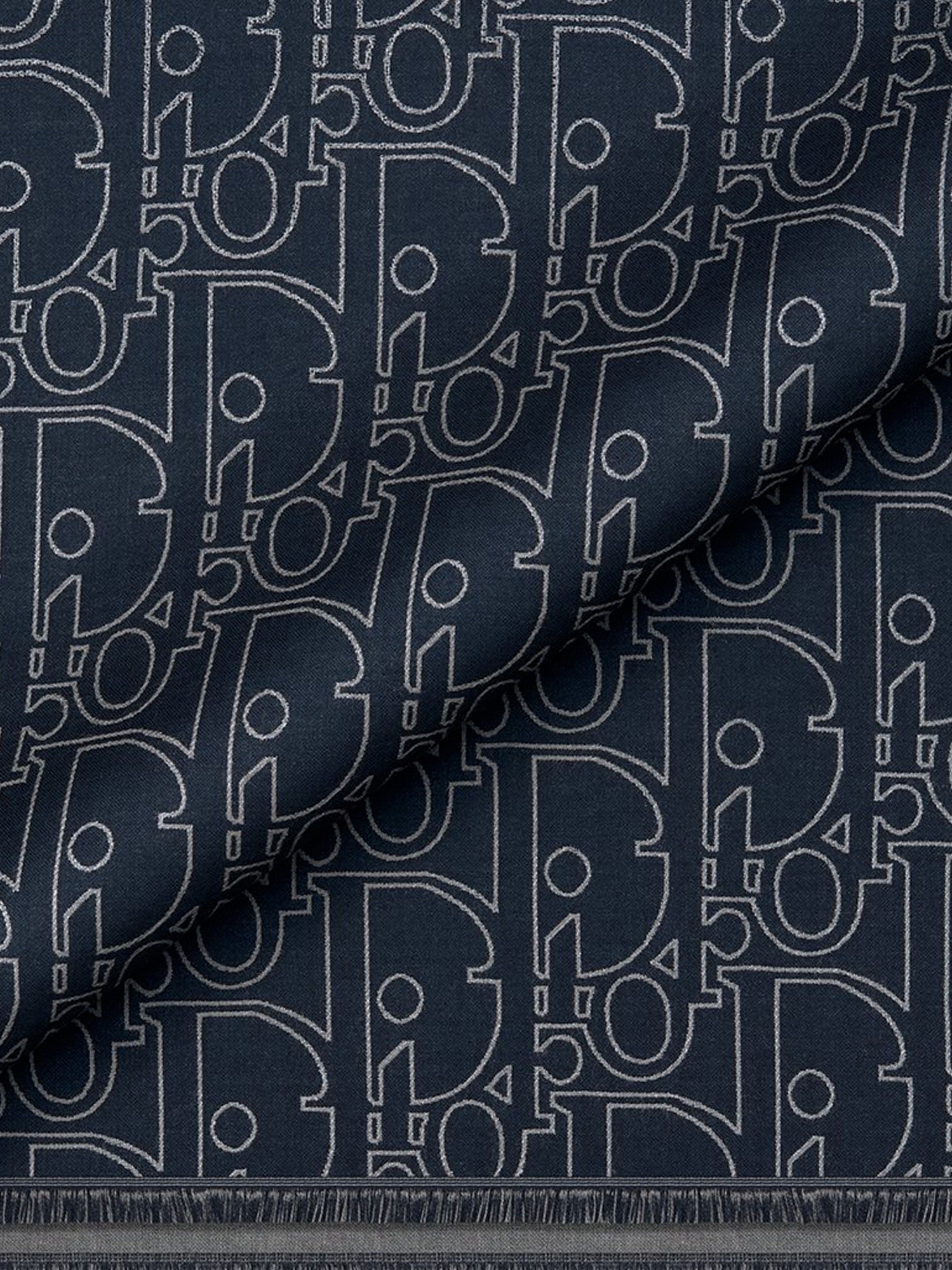 Dior Dior Gravity Wool And Silk Scarf