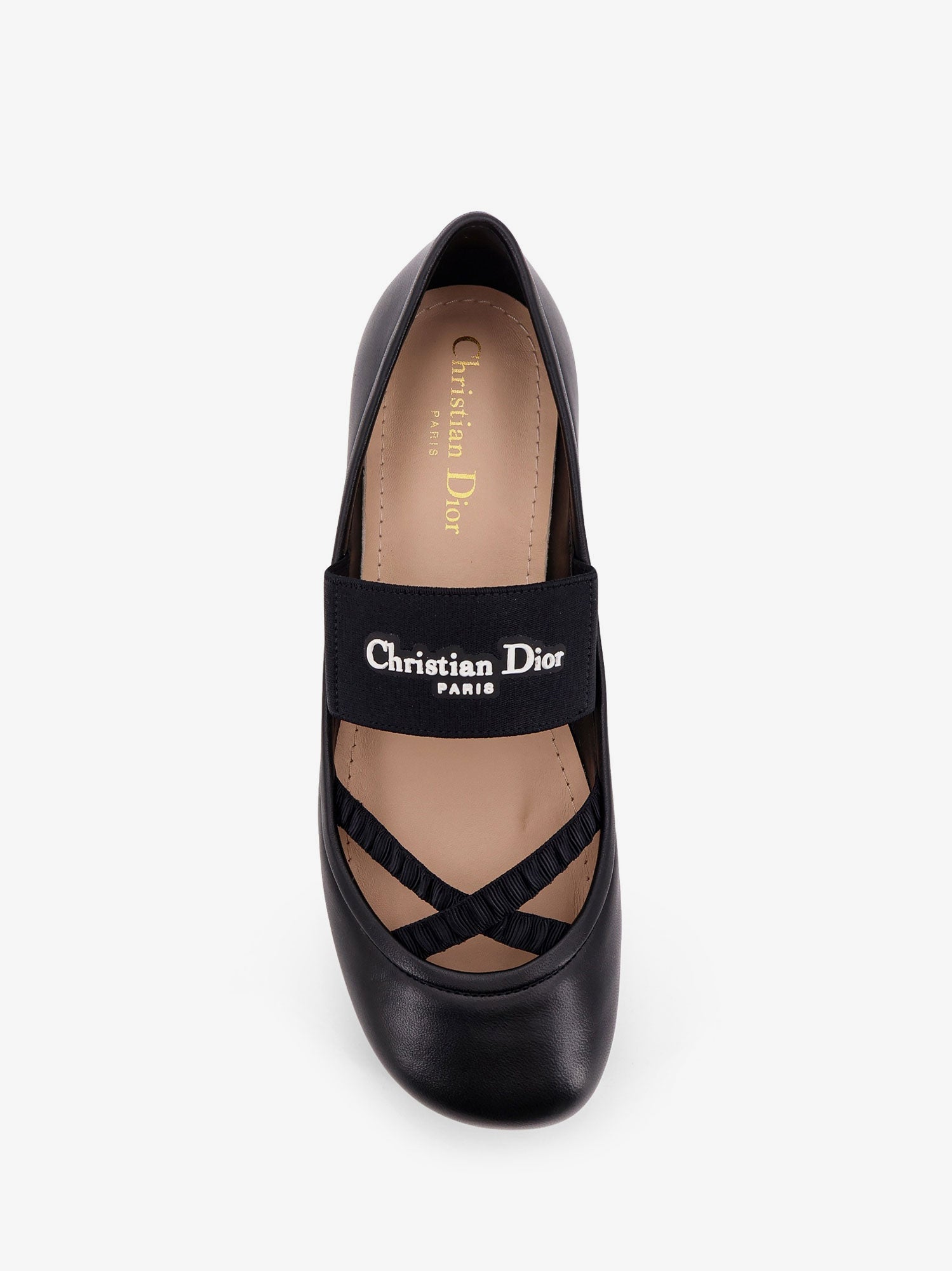 Dior Shade Leather Ballerinas With Elastic Bands
