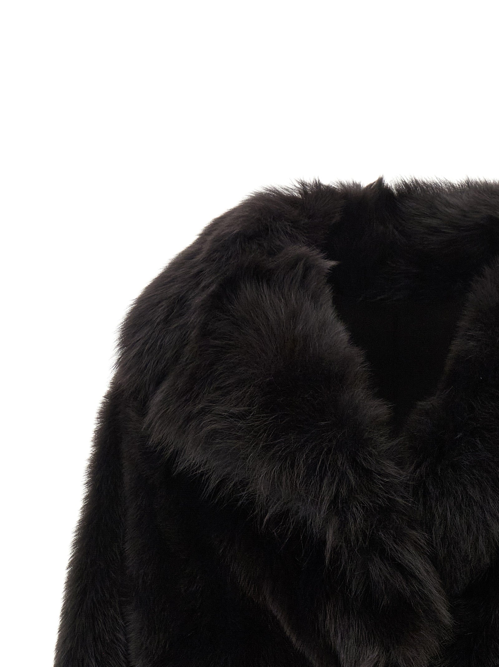 Blancha 'Toscana' Fur