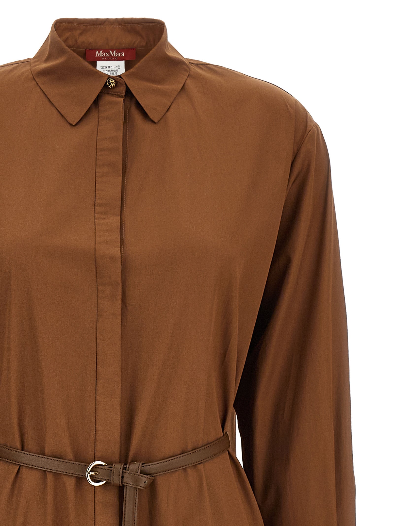 Max Mara Studio 'Mstlecito' Dress