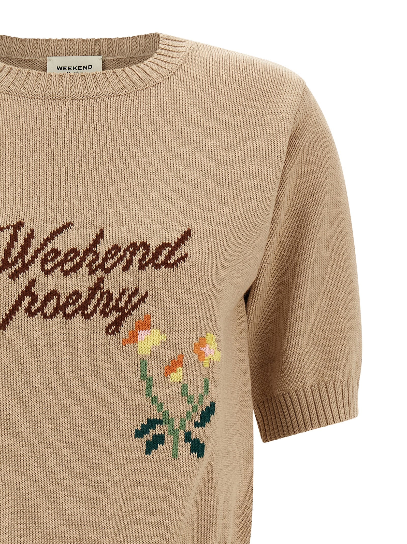 Weekend Max Mara 'Wkdfiacre' Intarsia Sweater