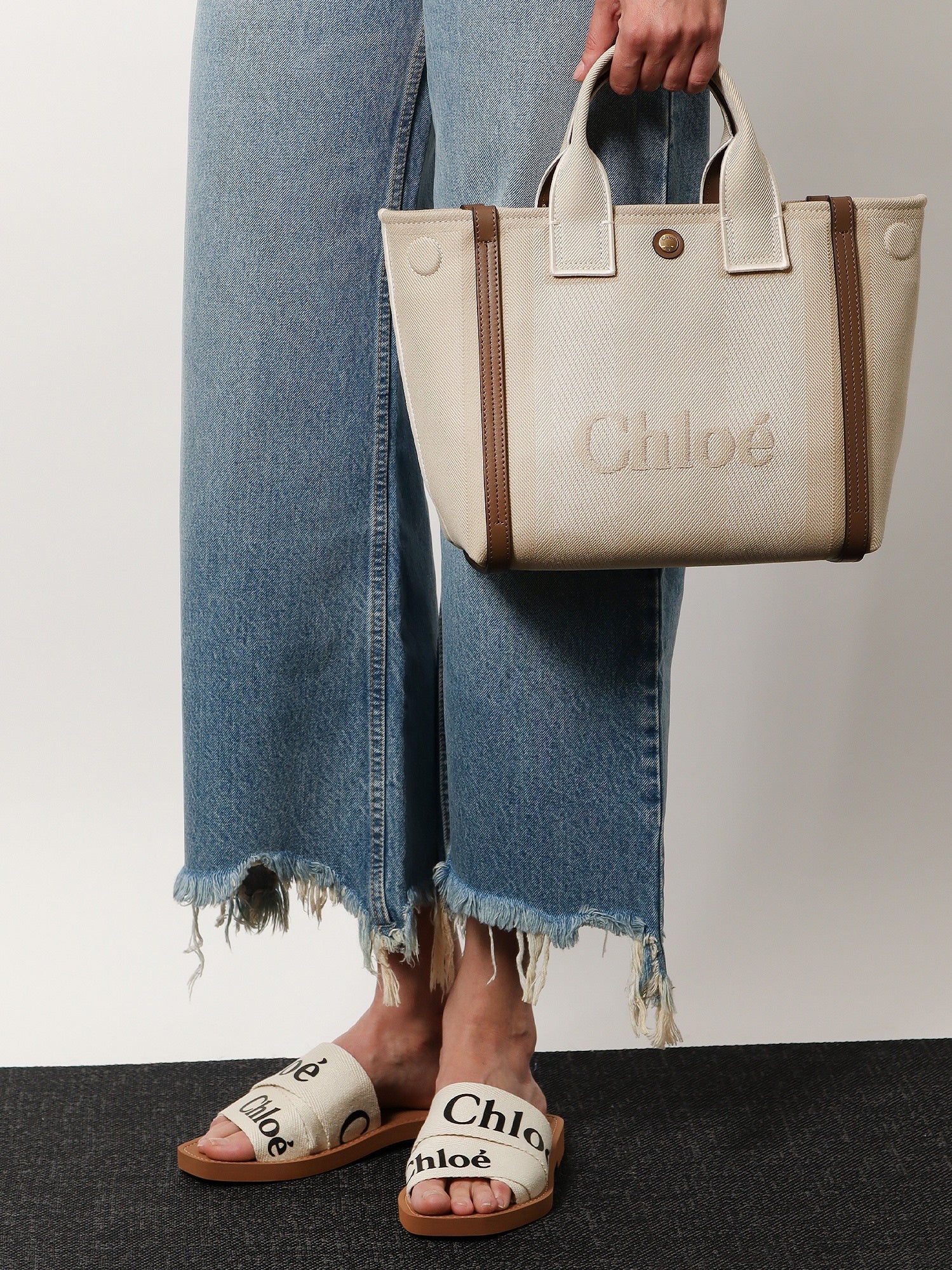 Chloé Chloé Carry Canvas Crossbody Bag With Oversized Logo On The Front