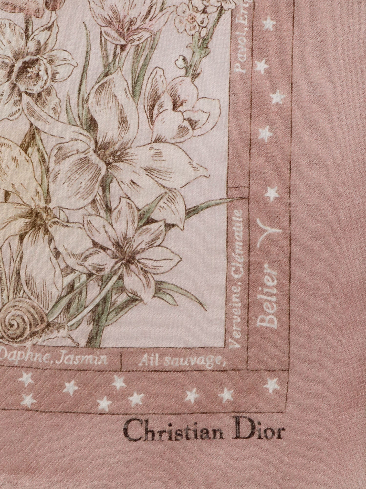 Dior Cashmere Foulard