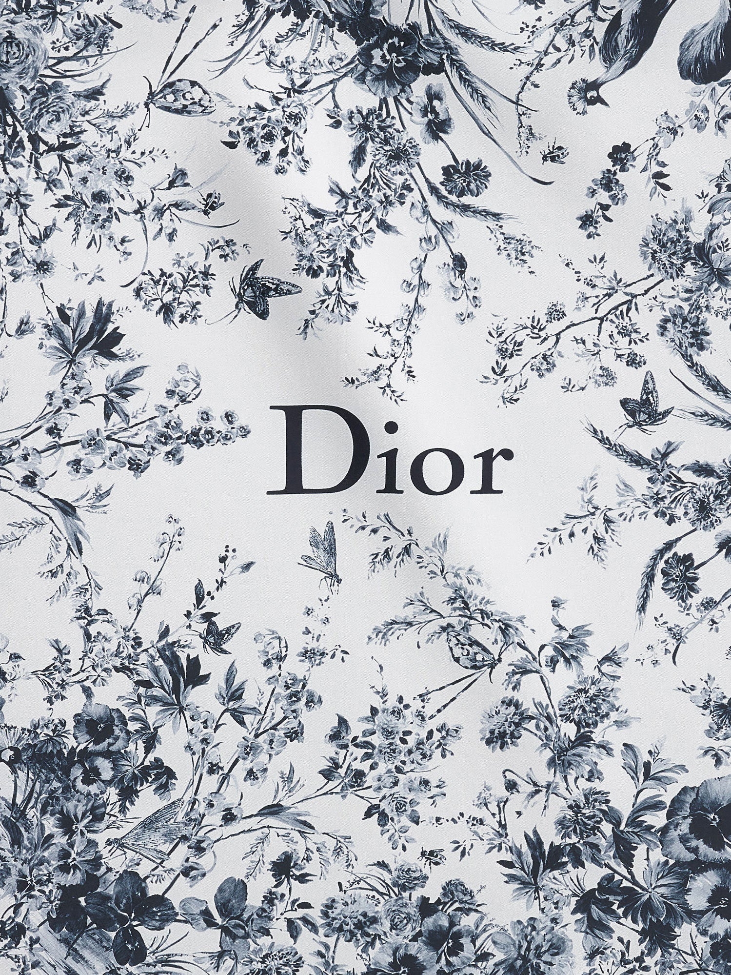 Dior Silk Foulard