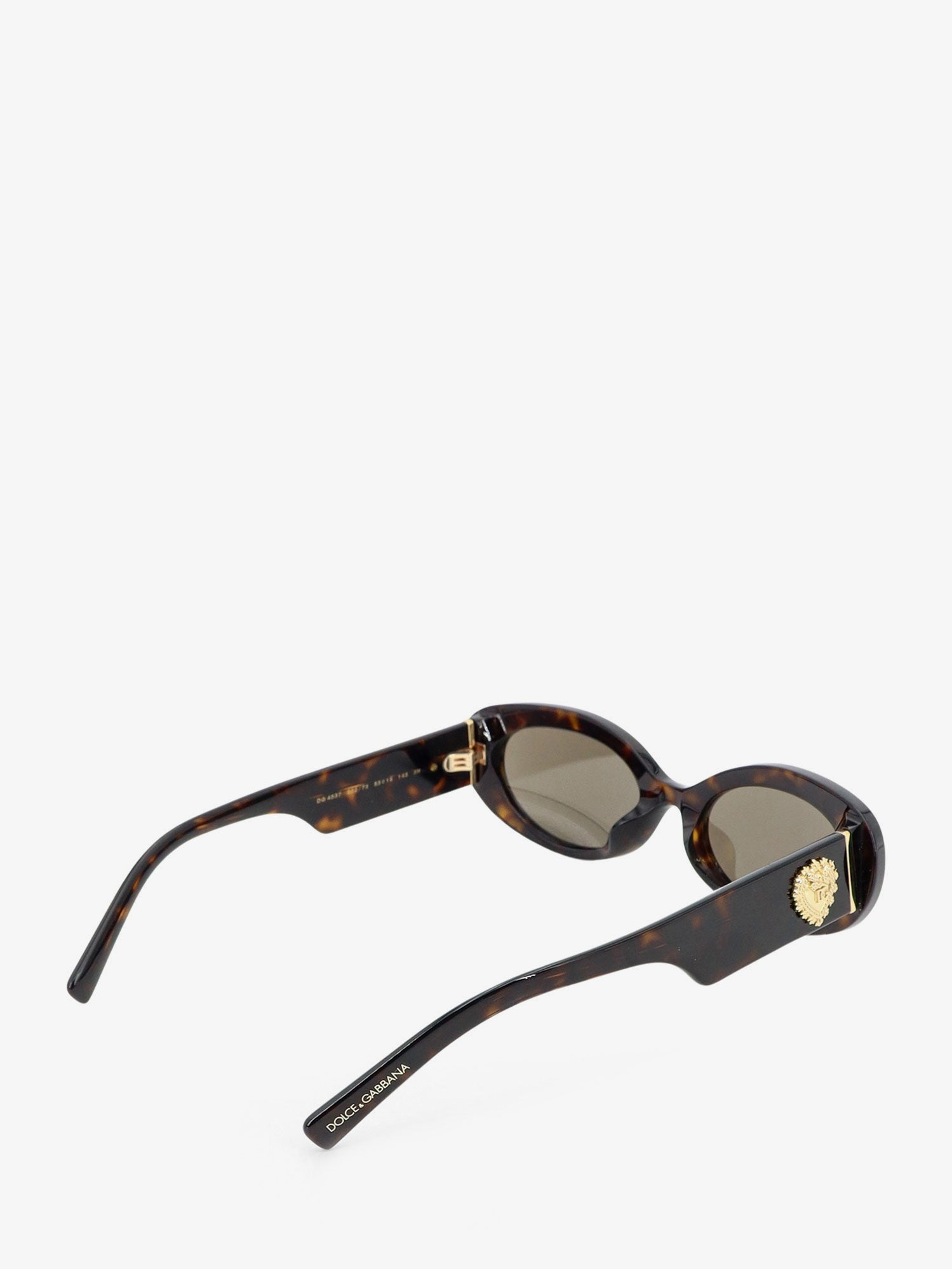 Dolce & Gabbana Acetate Sunglasses