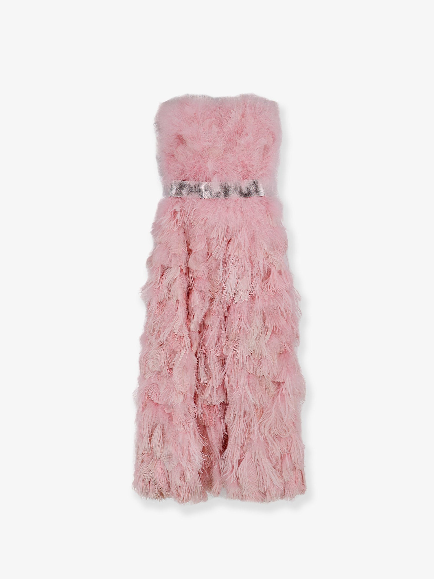 Dolce & Gabbana Silk Long Dress With Feathers