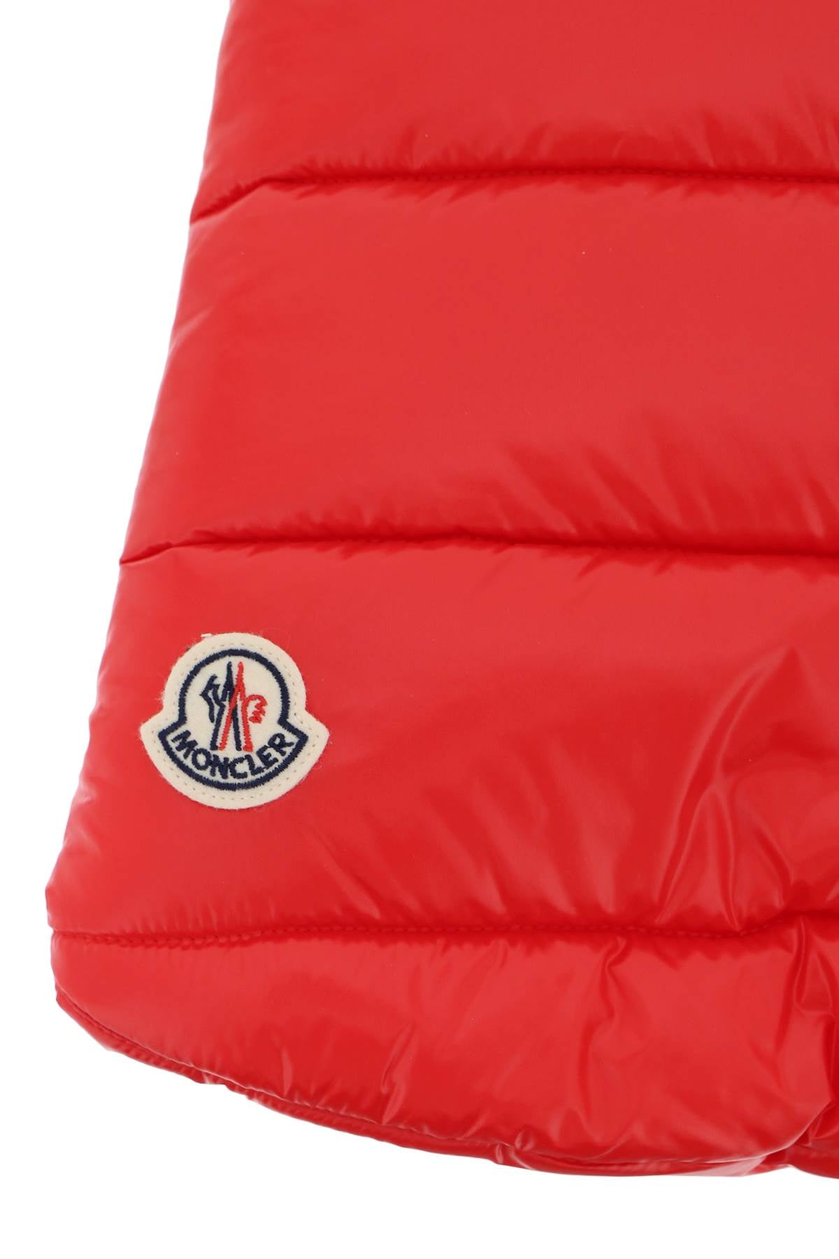 Moncler X Poldo Dog Down Vest