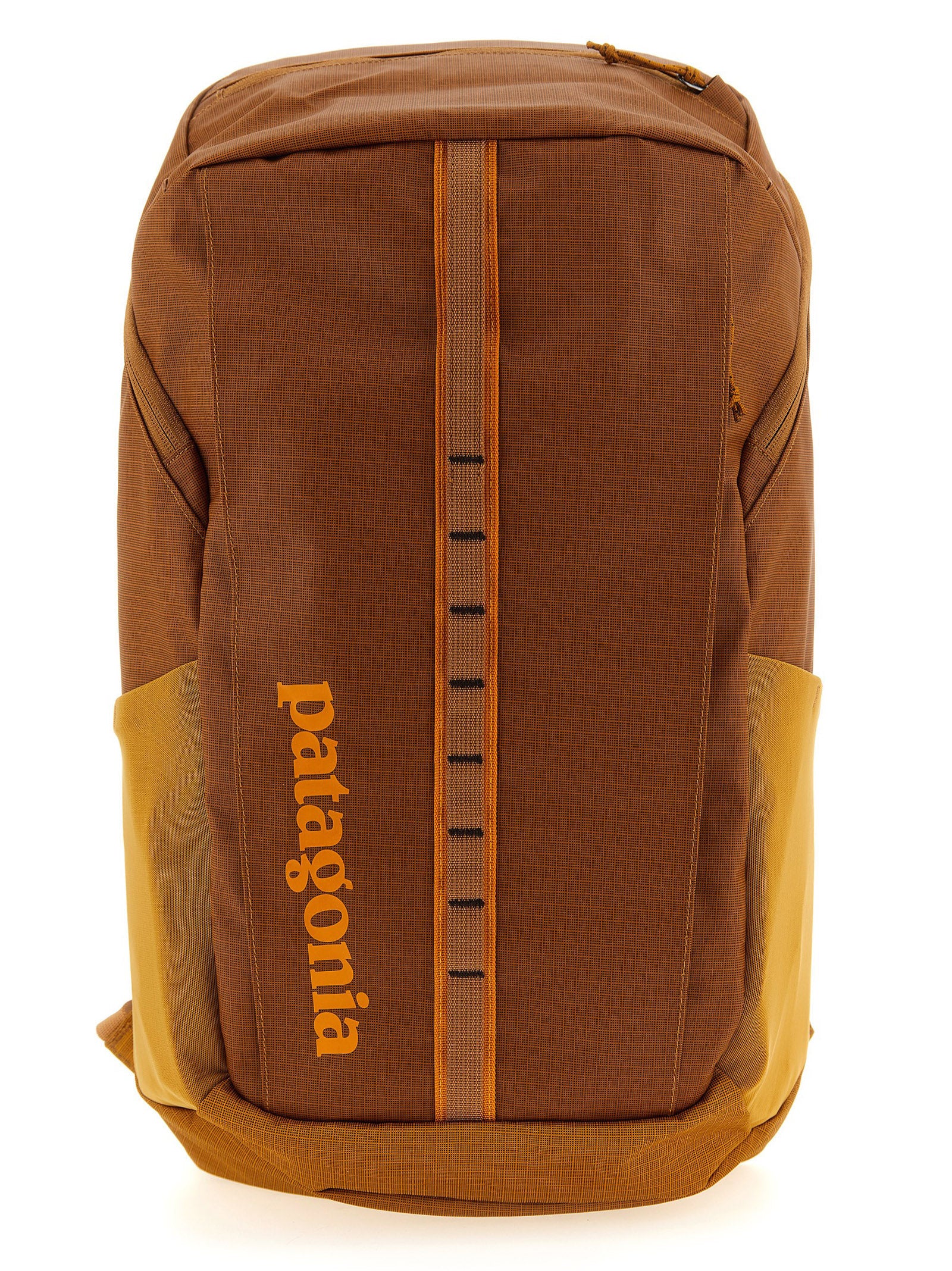 Patagonia 'Black Hole® Pack' Backpack