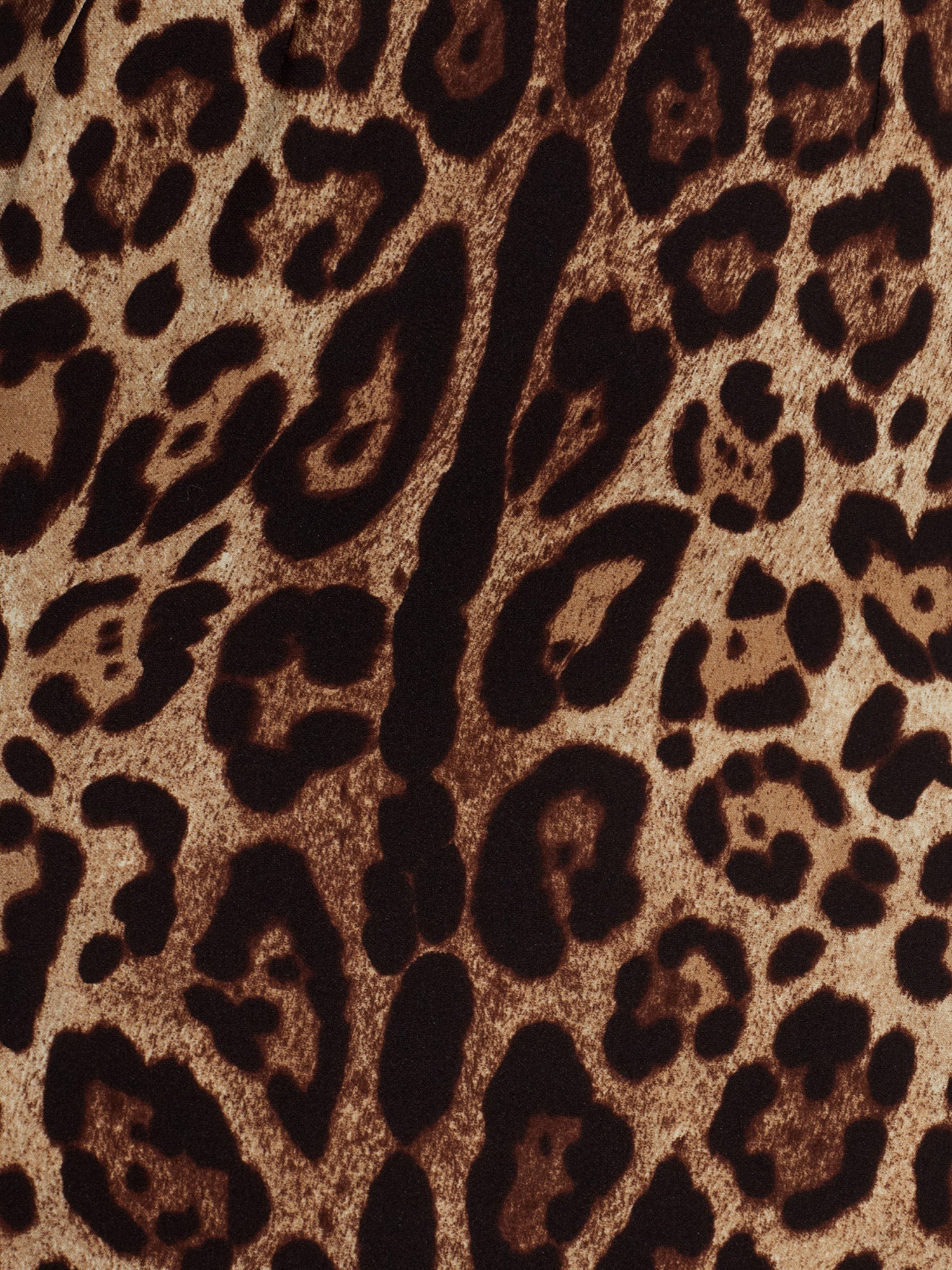 Dolce & Gabbana Midi Dress With Animal Print