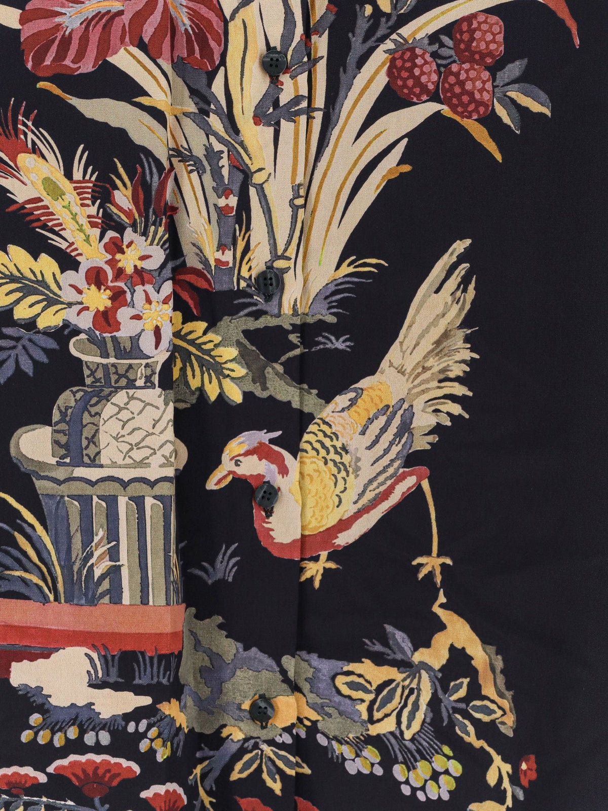 Etro Silk Shirt With Frontal Print