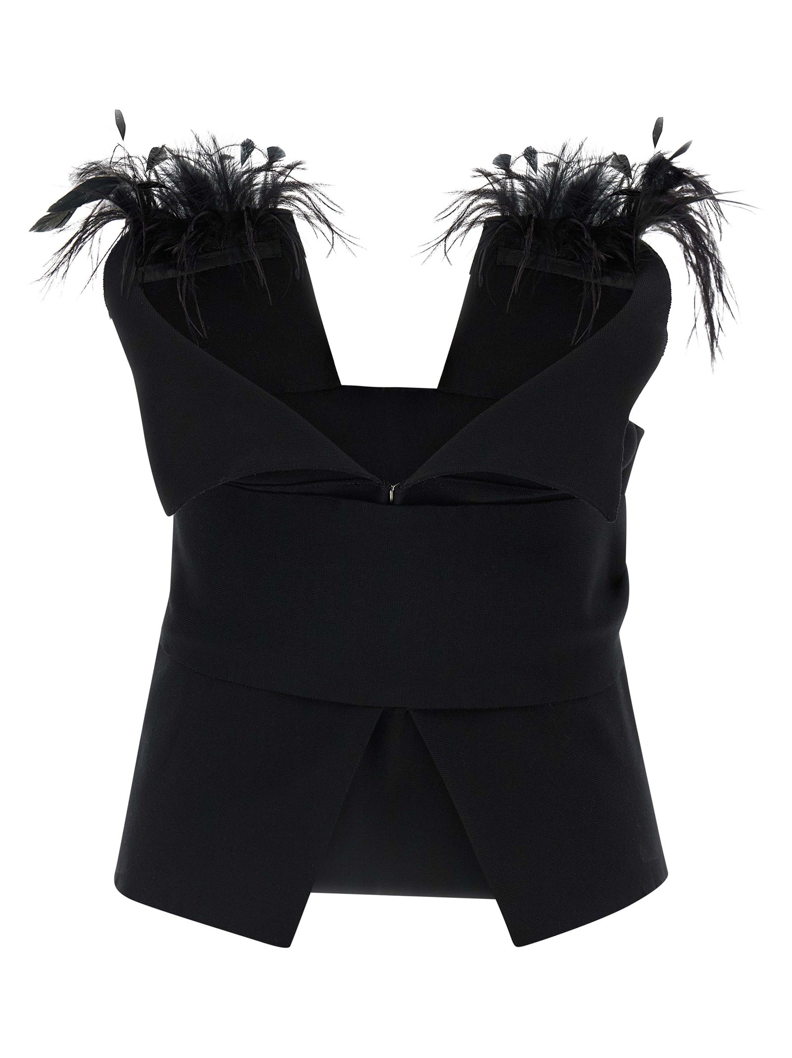 Alberta Ferretti Feather Top