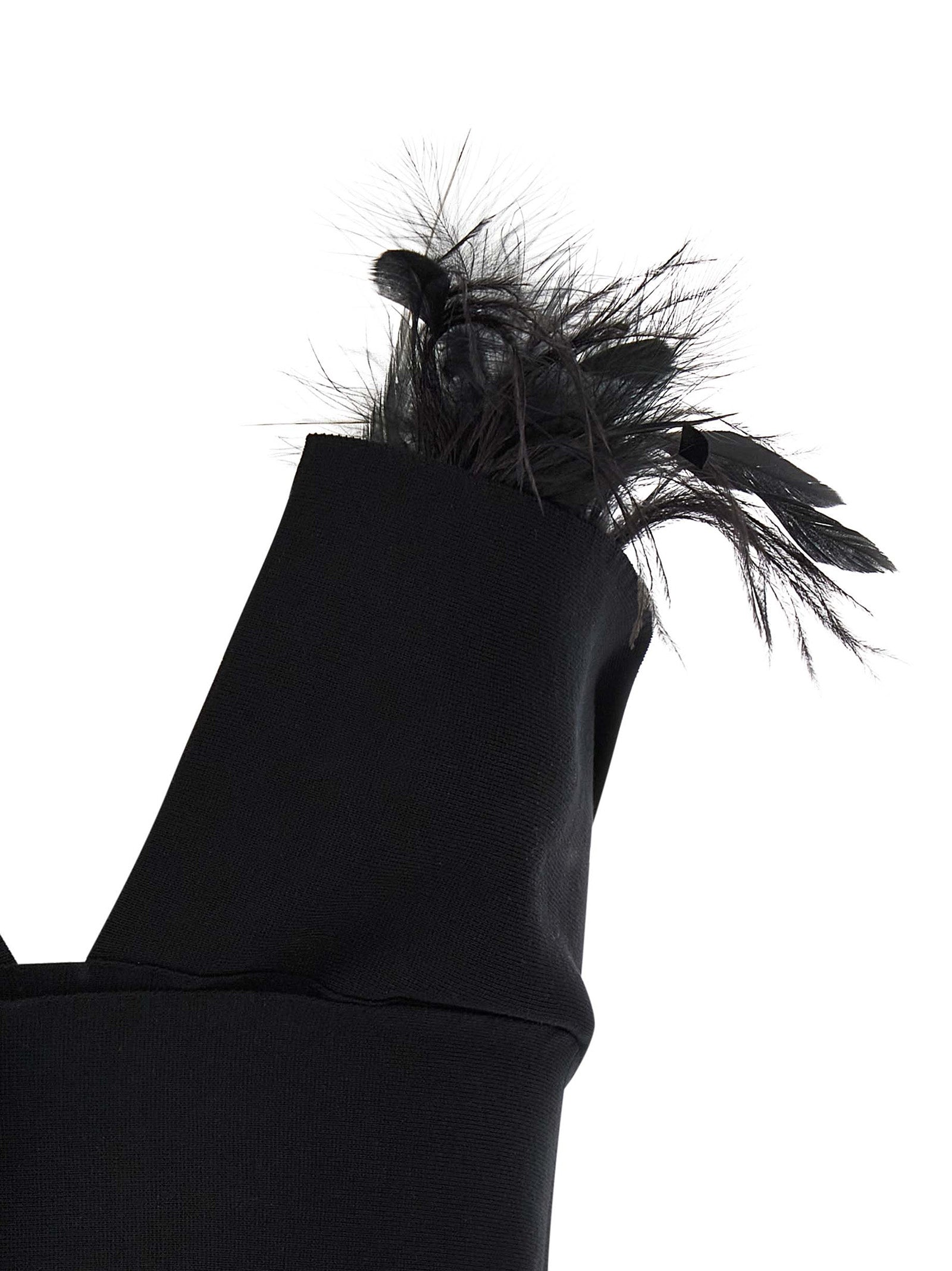 Alberta Ferretti Feather Top