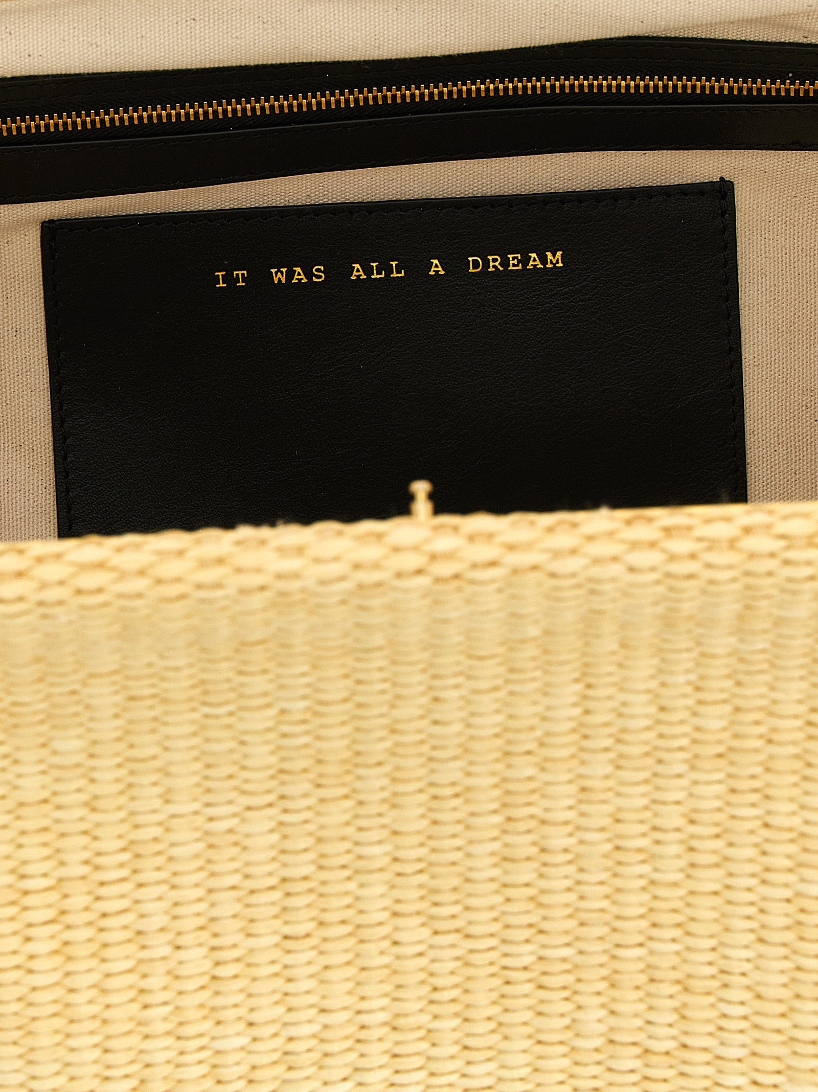 Alberta Ferretti Maxi Pouch