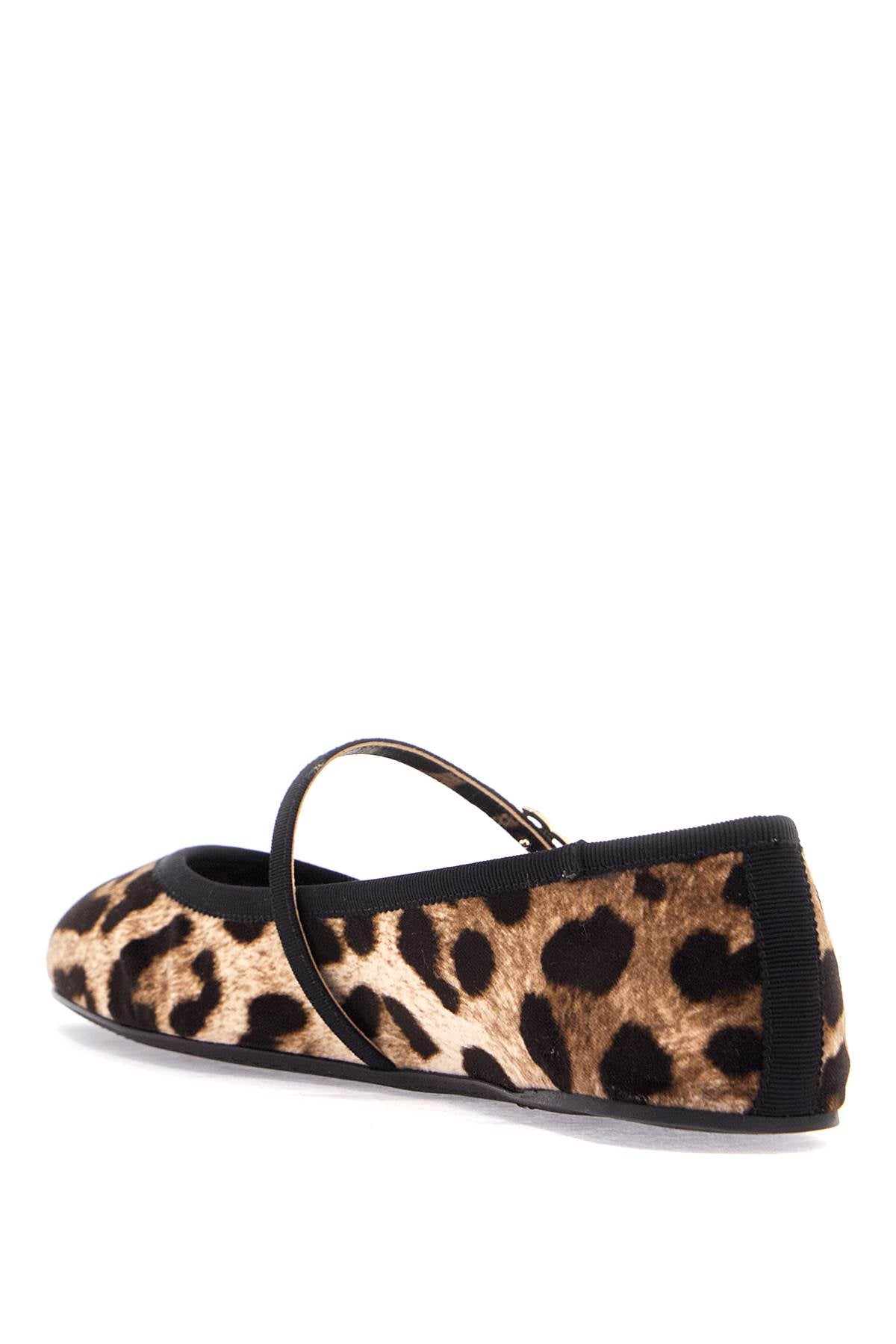 Dolce & Gabbana Multicolor Ballerinas In Cotton And Viscose With Leopard Print