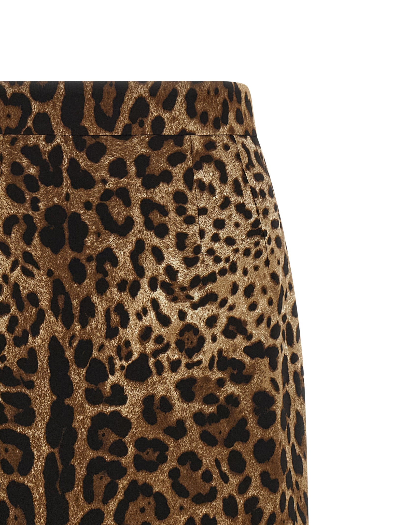Dolce & Gabbana 'Leo' Skirt