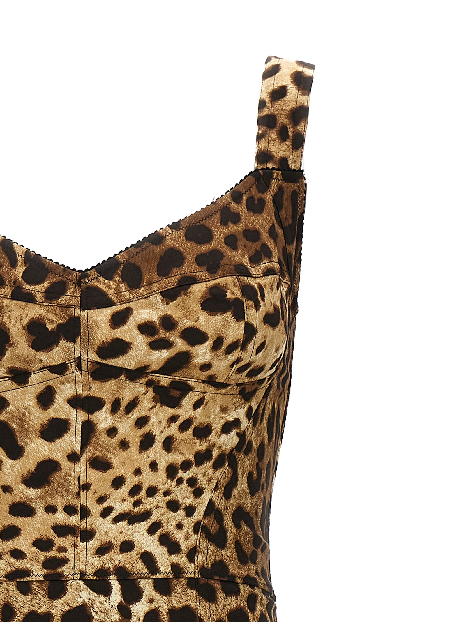 Dolce & Gabbana 'Leopardo' Corset Dress