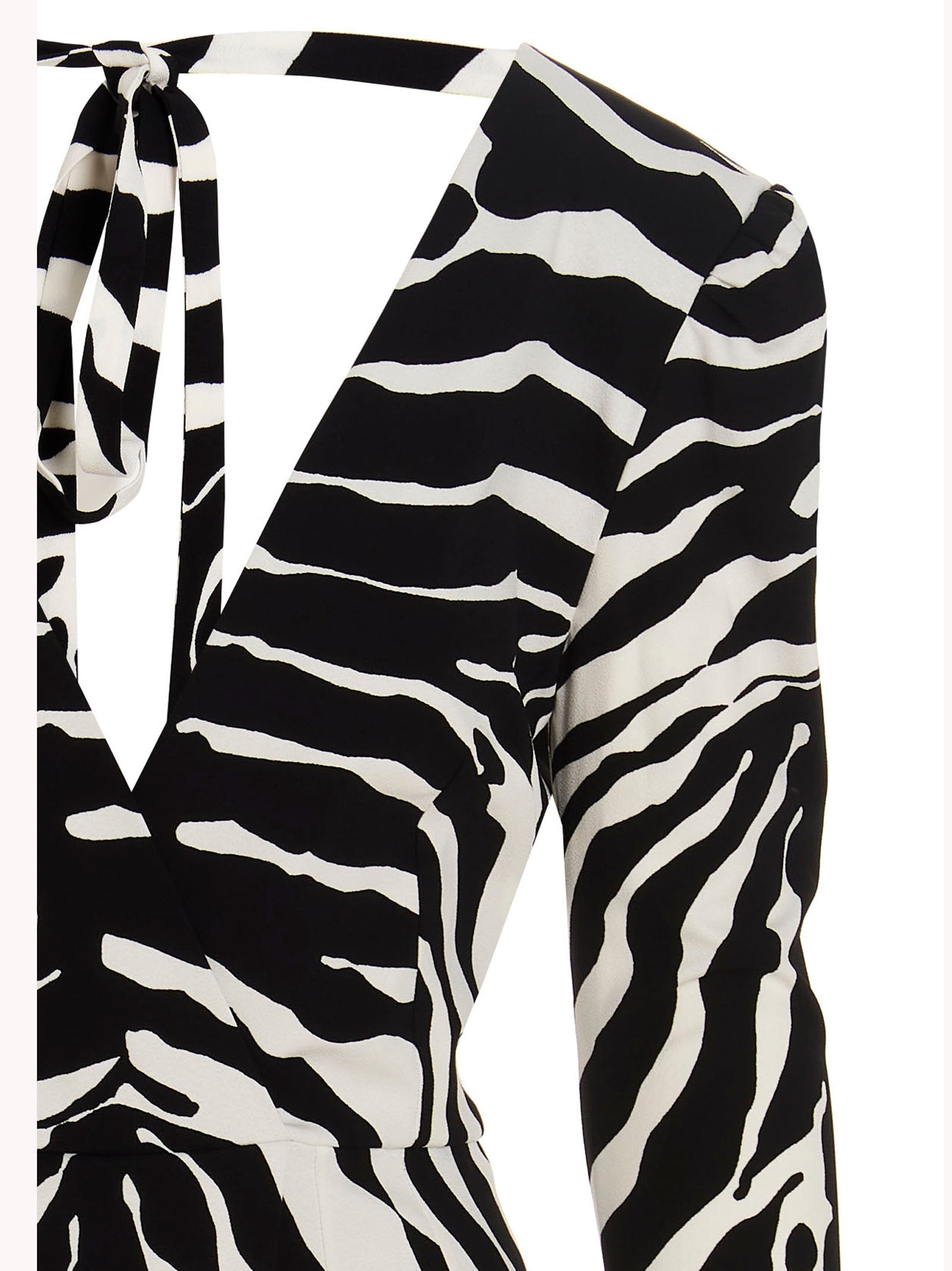 Dolce & Gabbana ‘Zebra’ Dress