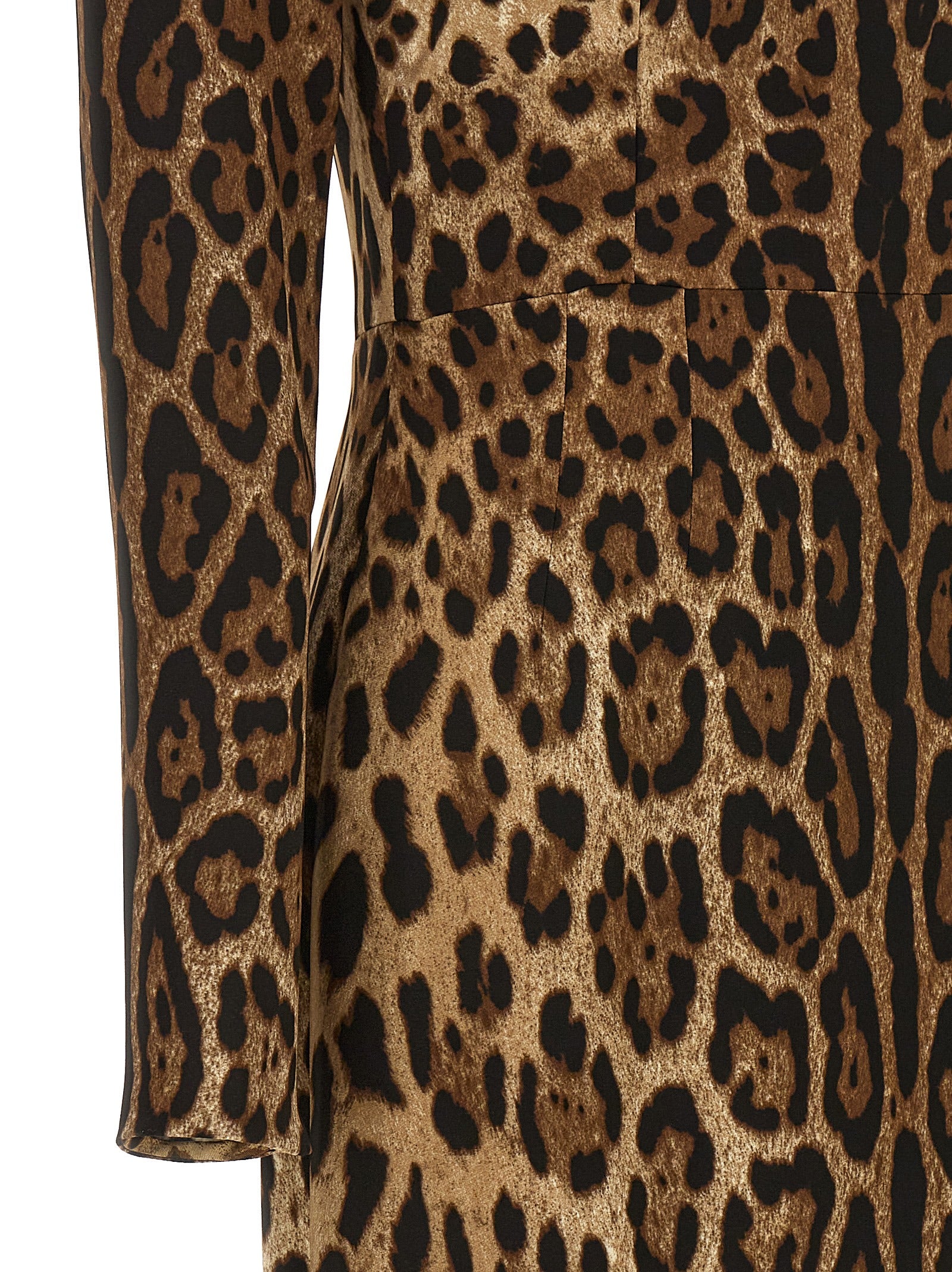 Dolce & Gabbana 'Leopard' Dress